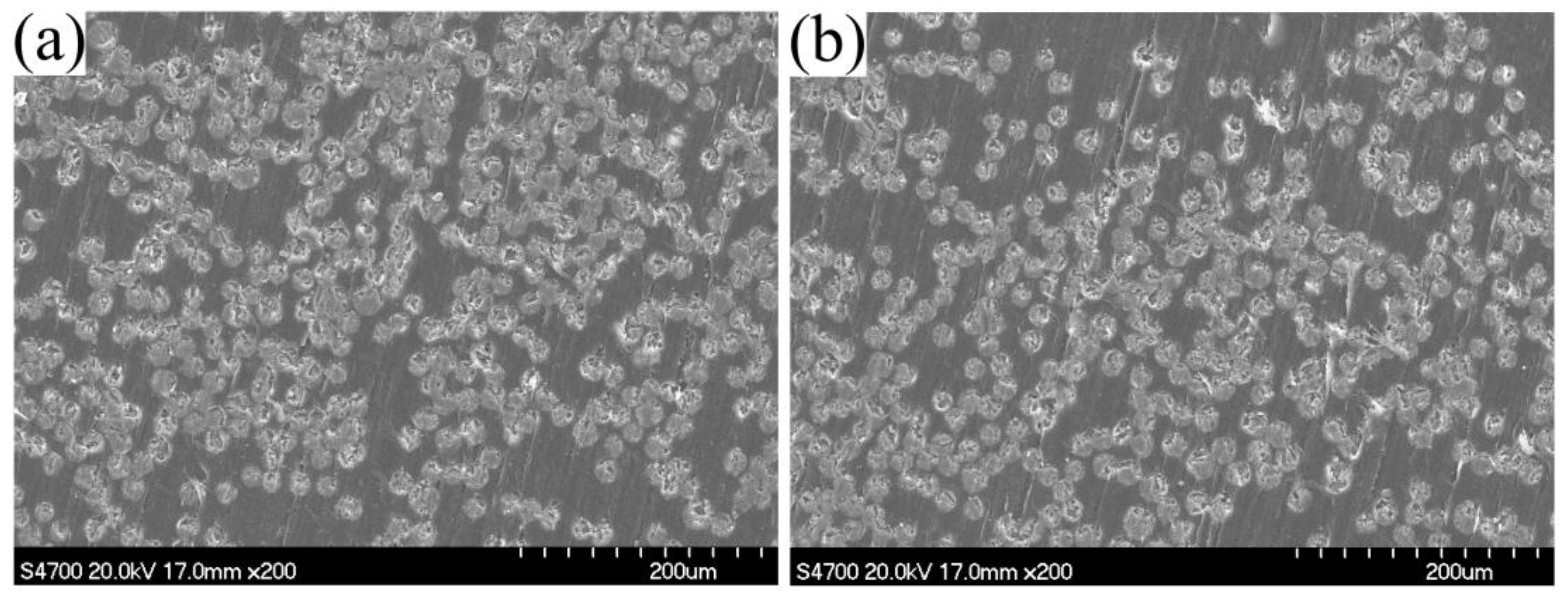 Materials 12 00463 g007 Materials 12 00463 g007