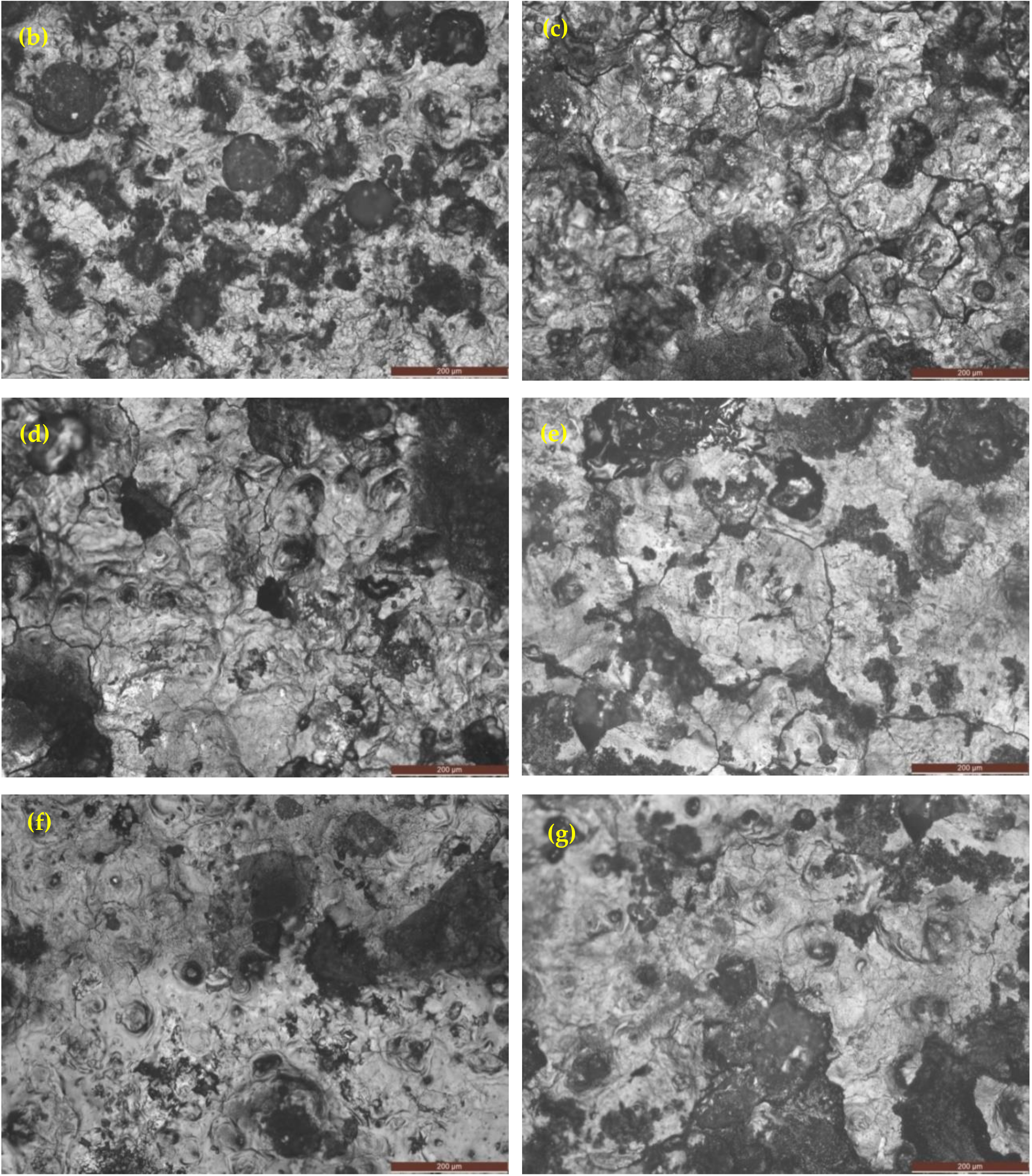 Materials 12 00503 g015b