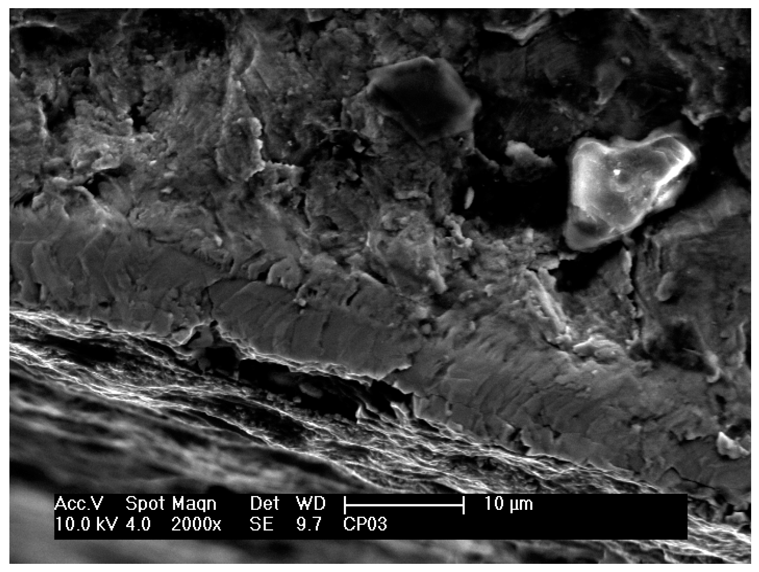 Materials 12 00520 g008