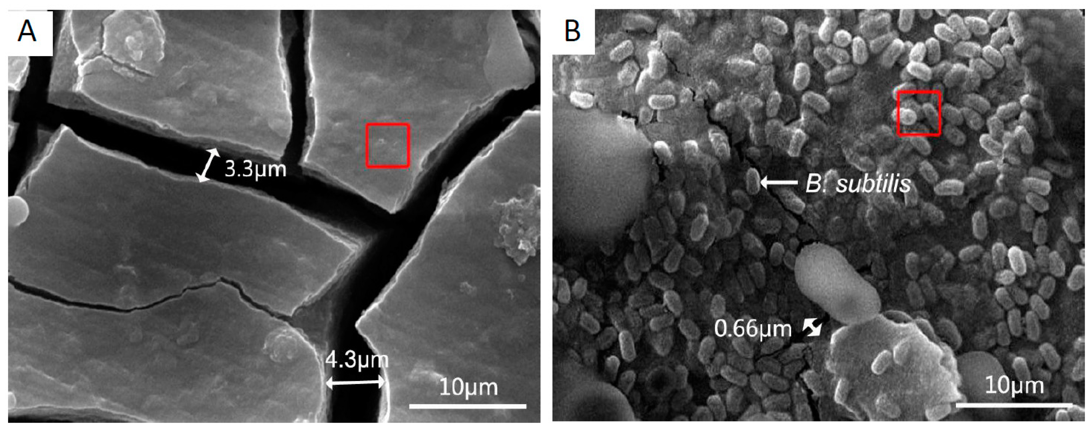 Materials 12 00523 g001