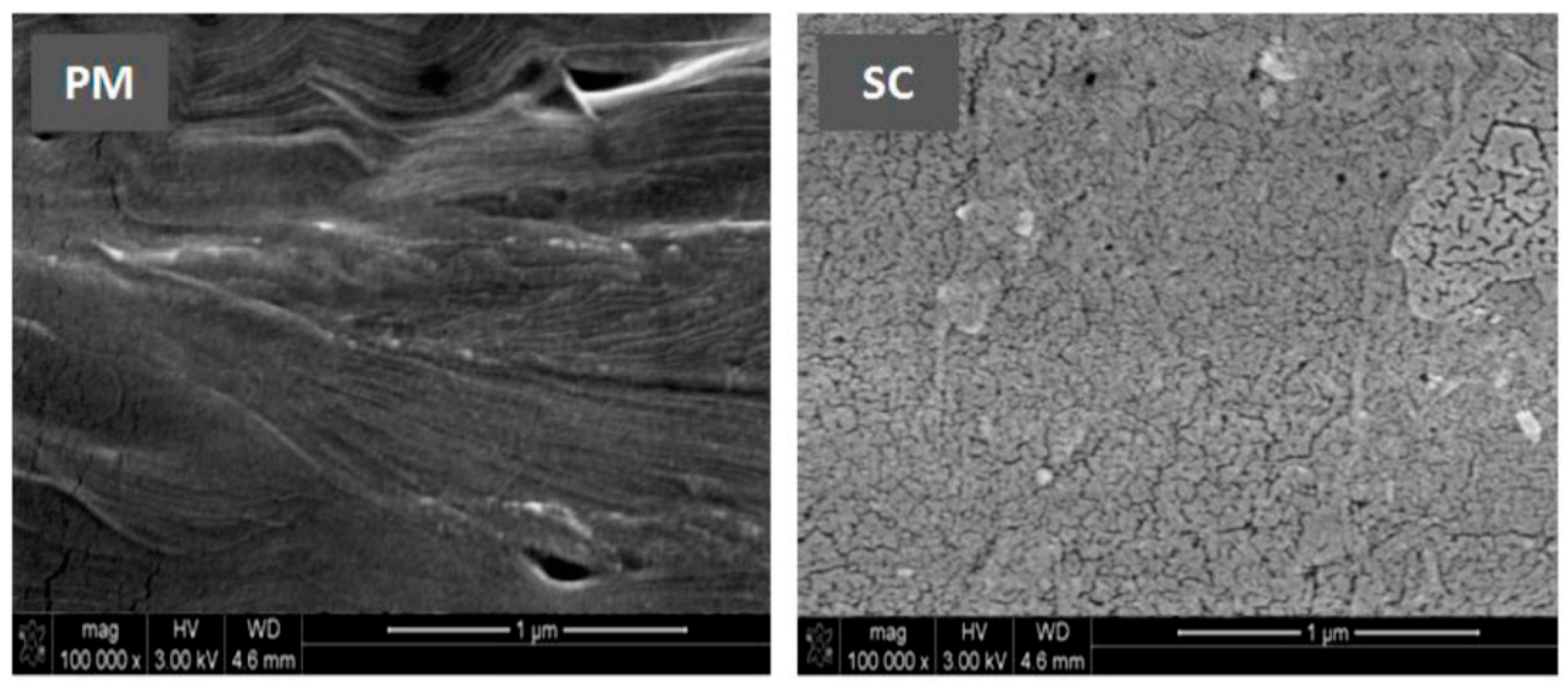 Materials 12 00528 g007