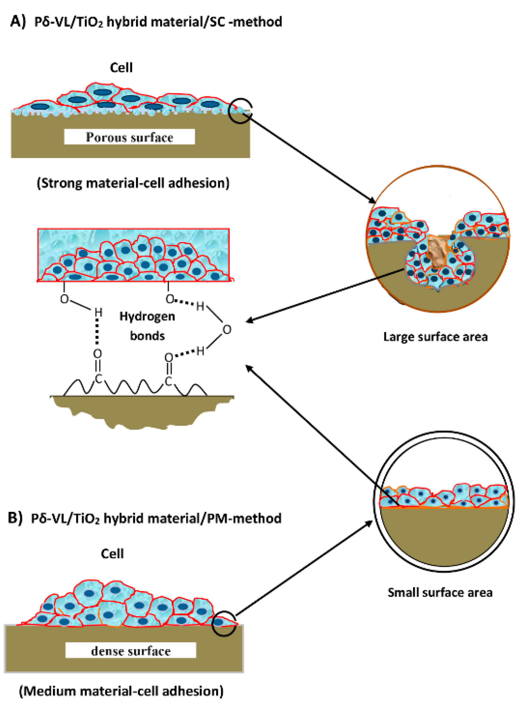 Materials 12 00528 sch002