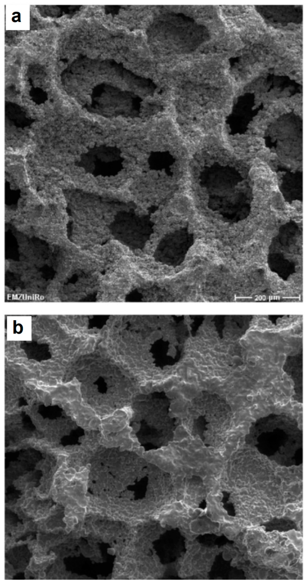 Materials 12 00541 g021 Materials 12 00541 g021