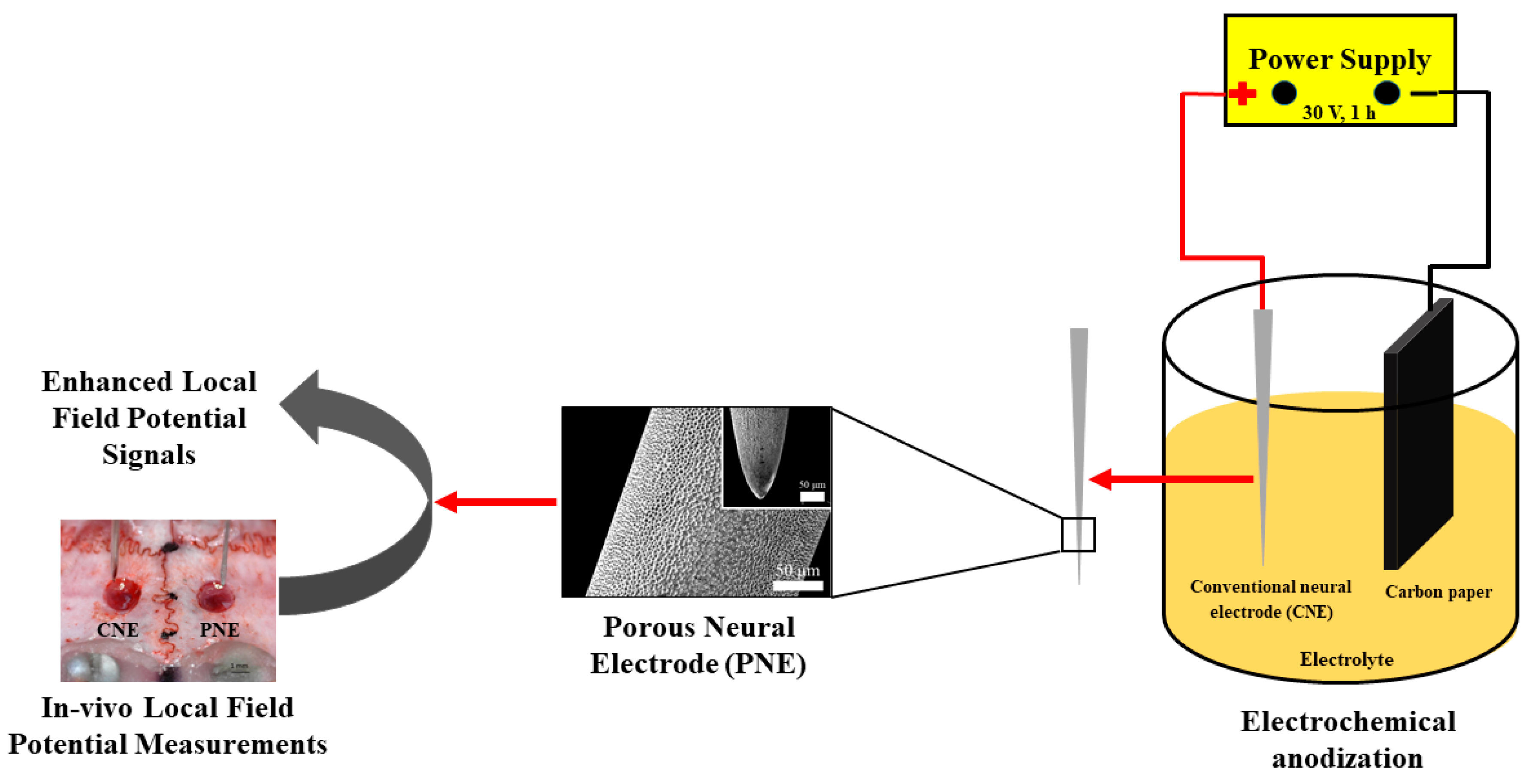 Materials 12 00542 g001 Materials 12 00542 g001