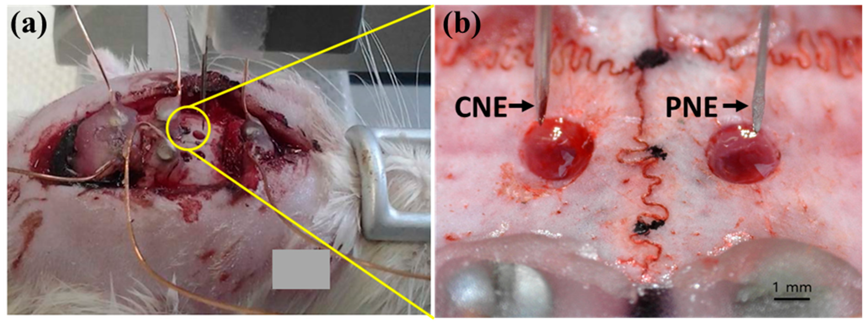 Materials 12 00542 g002 Materials 12 00542 g002