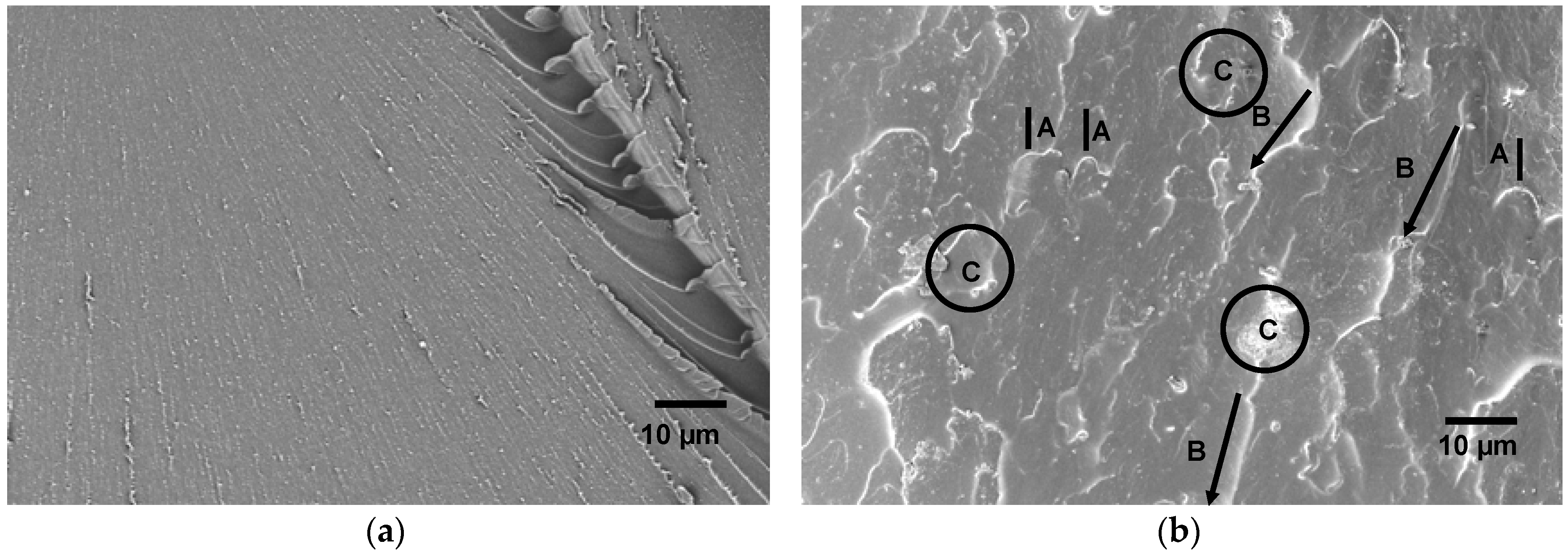 Materials 12 00548 g010
