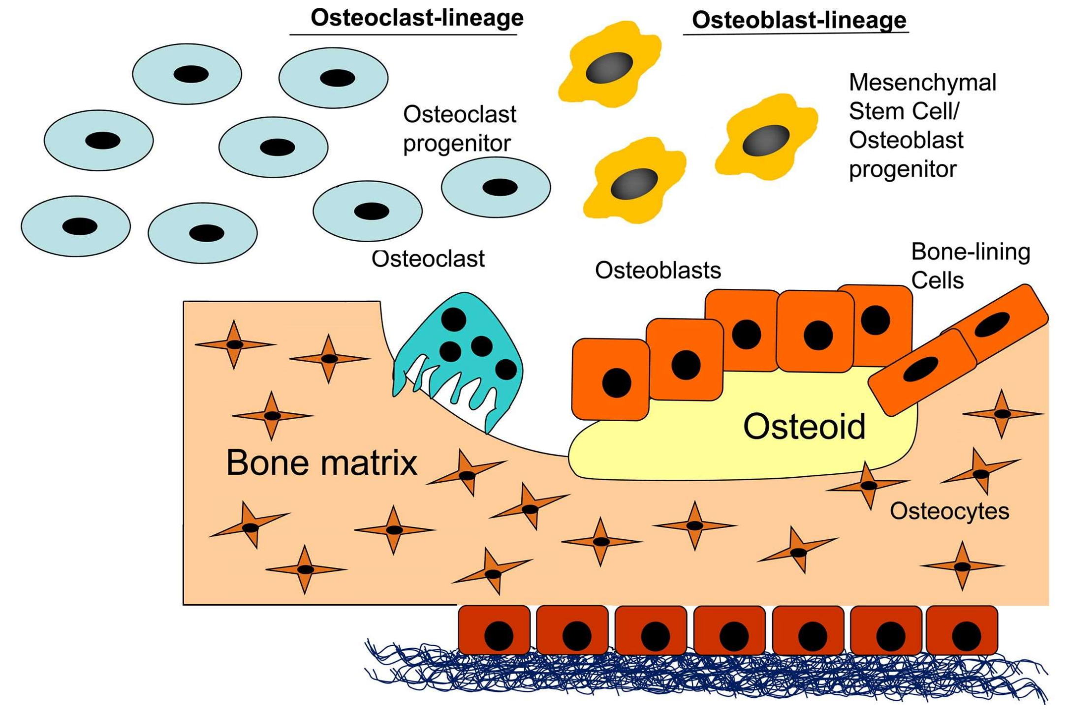 Materials 12 00568 g002 Materials 12 00568 g002