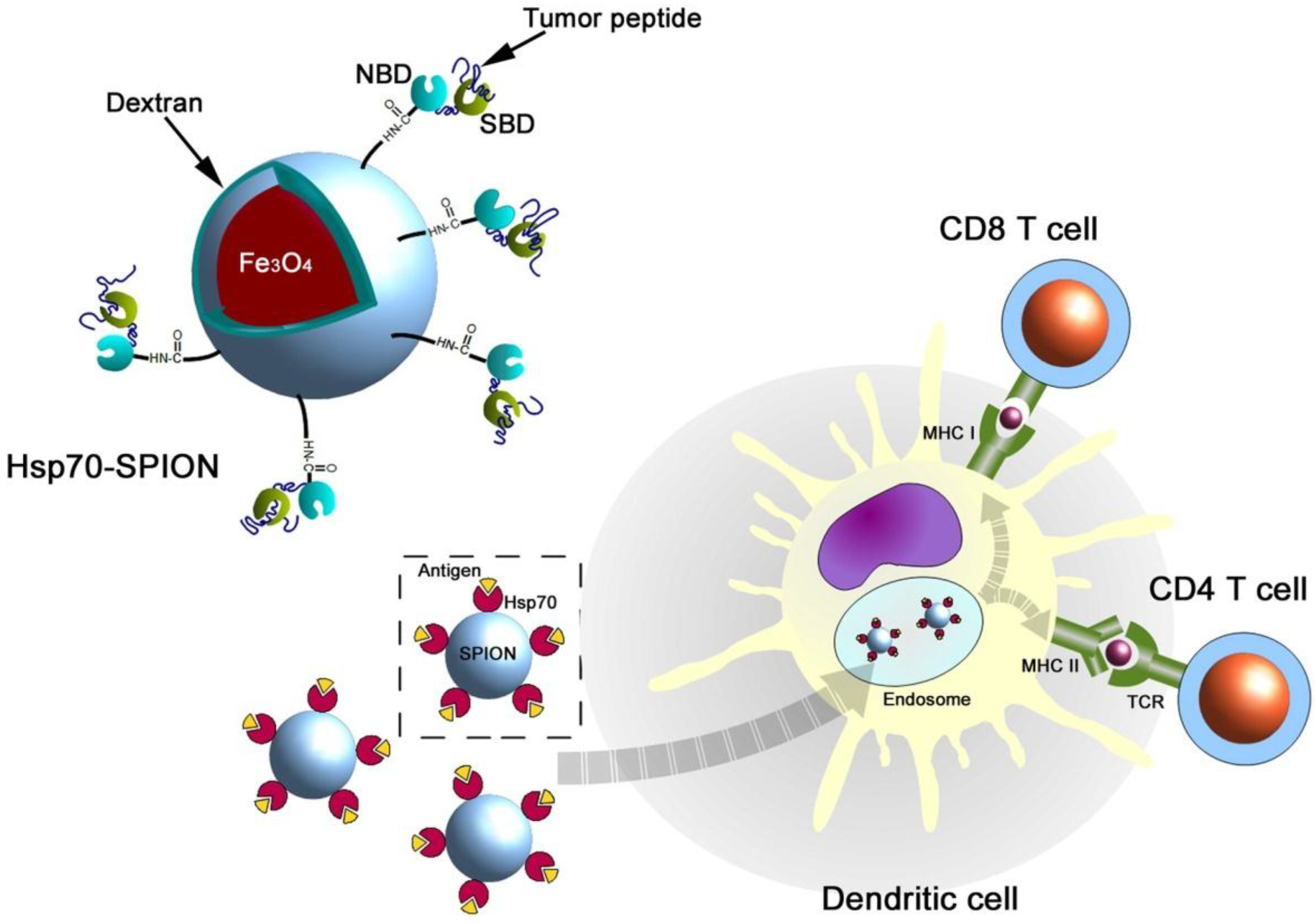 Materials 12 00617 g003