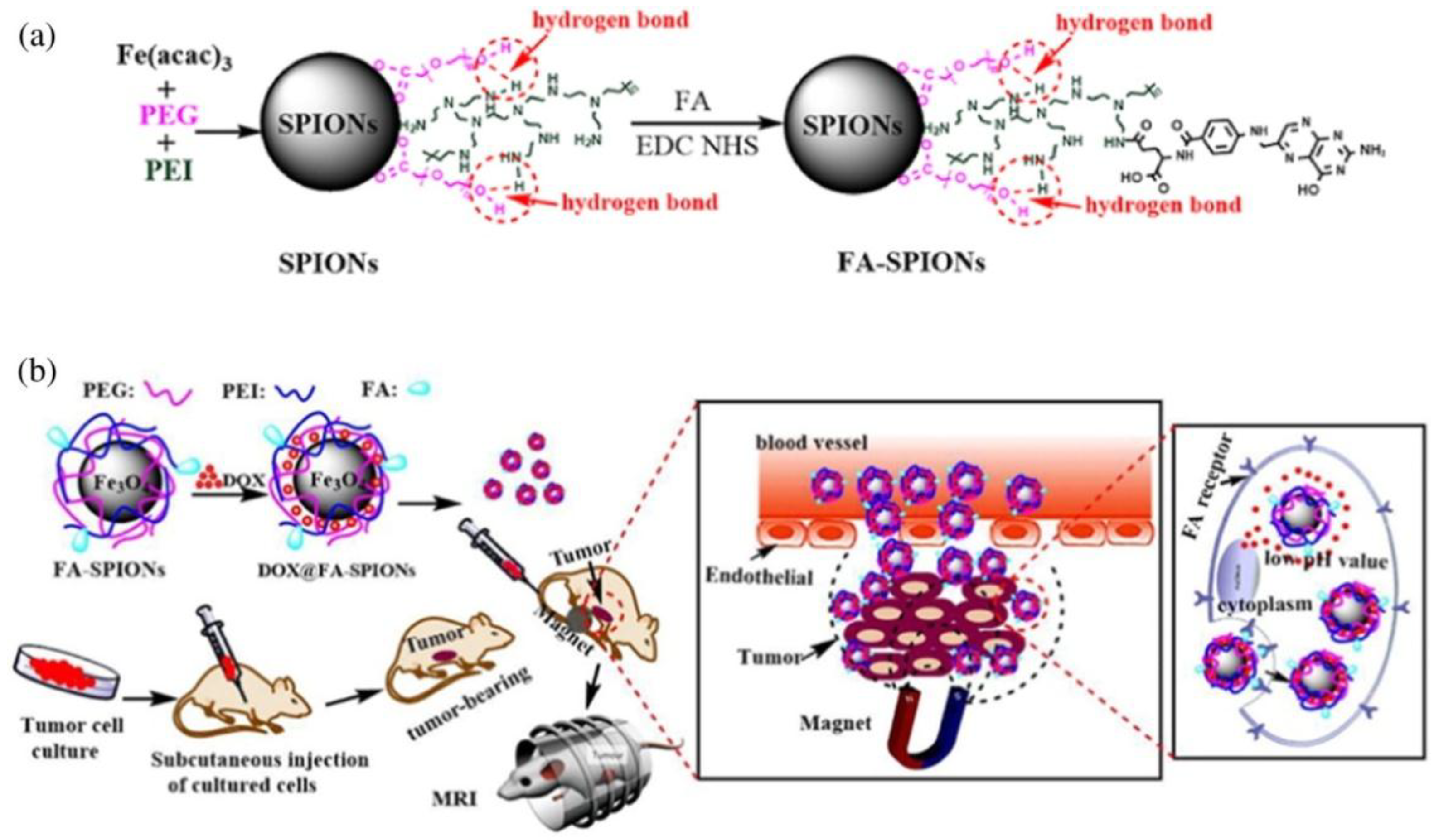 Materials 12 00617 g005