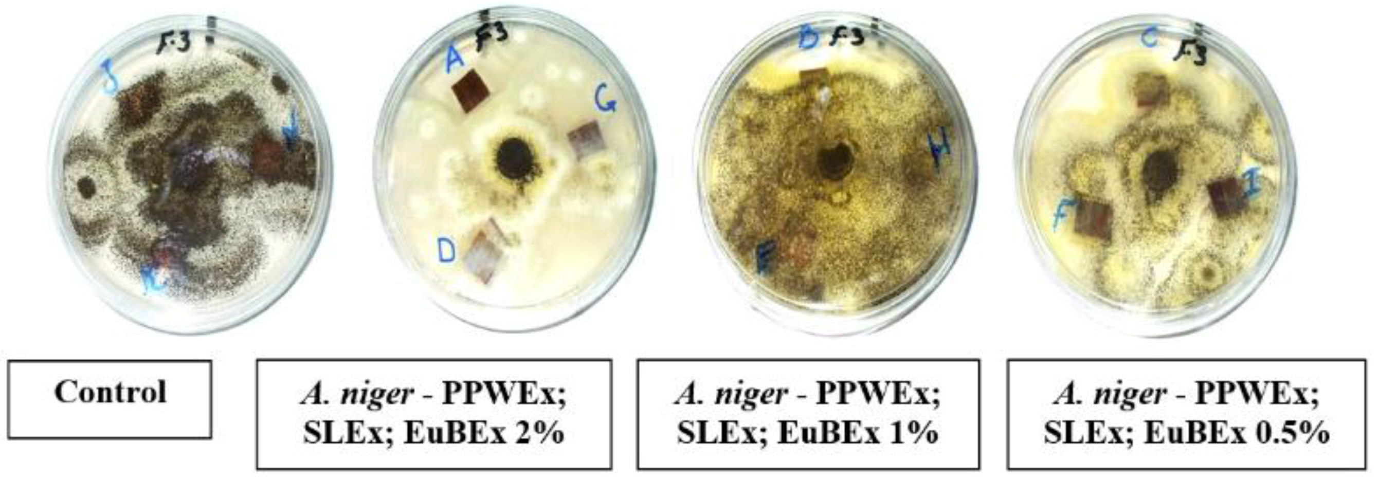 Materials 12 00620 g006a