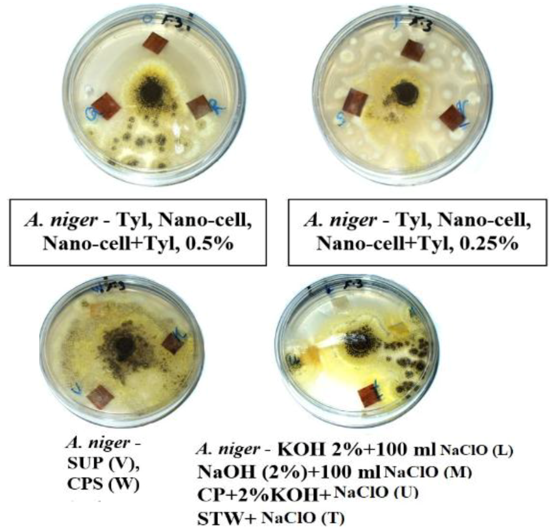 Materials 12 00620 g006b