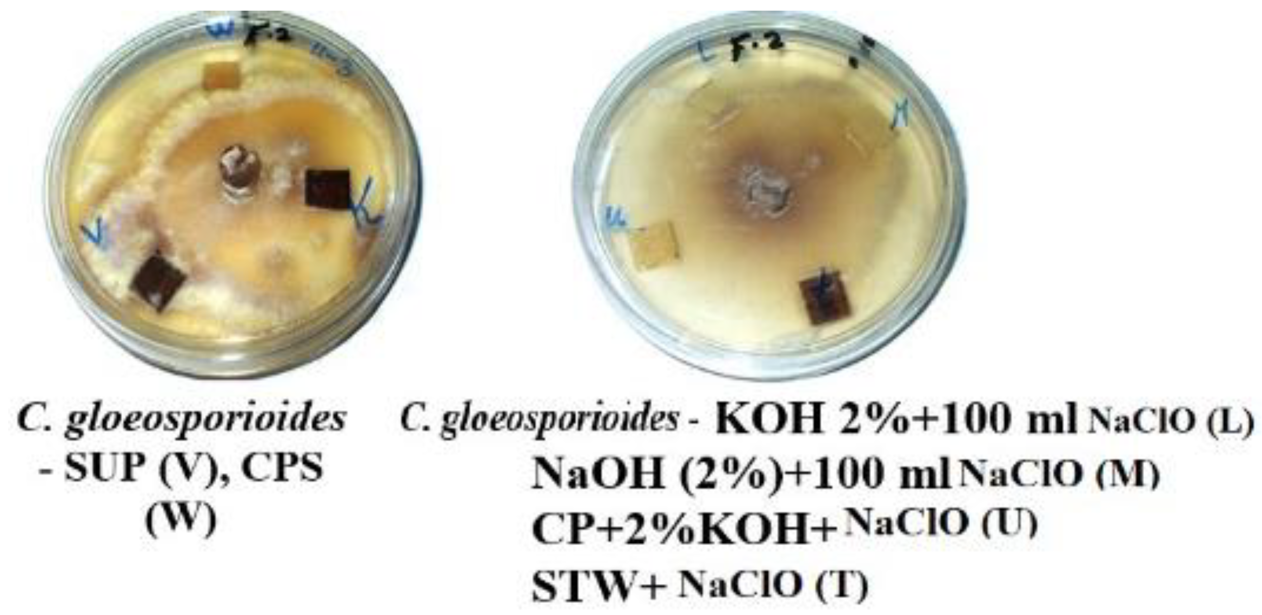 Materials 12 00620 g007b