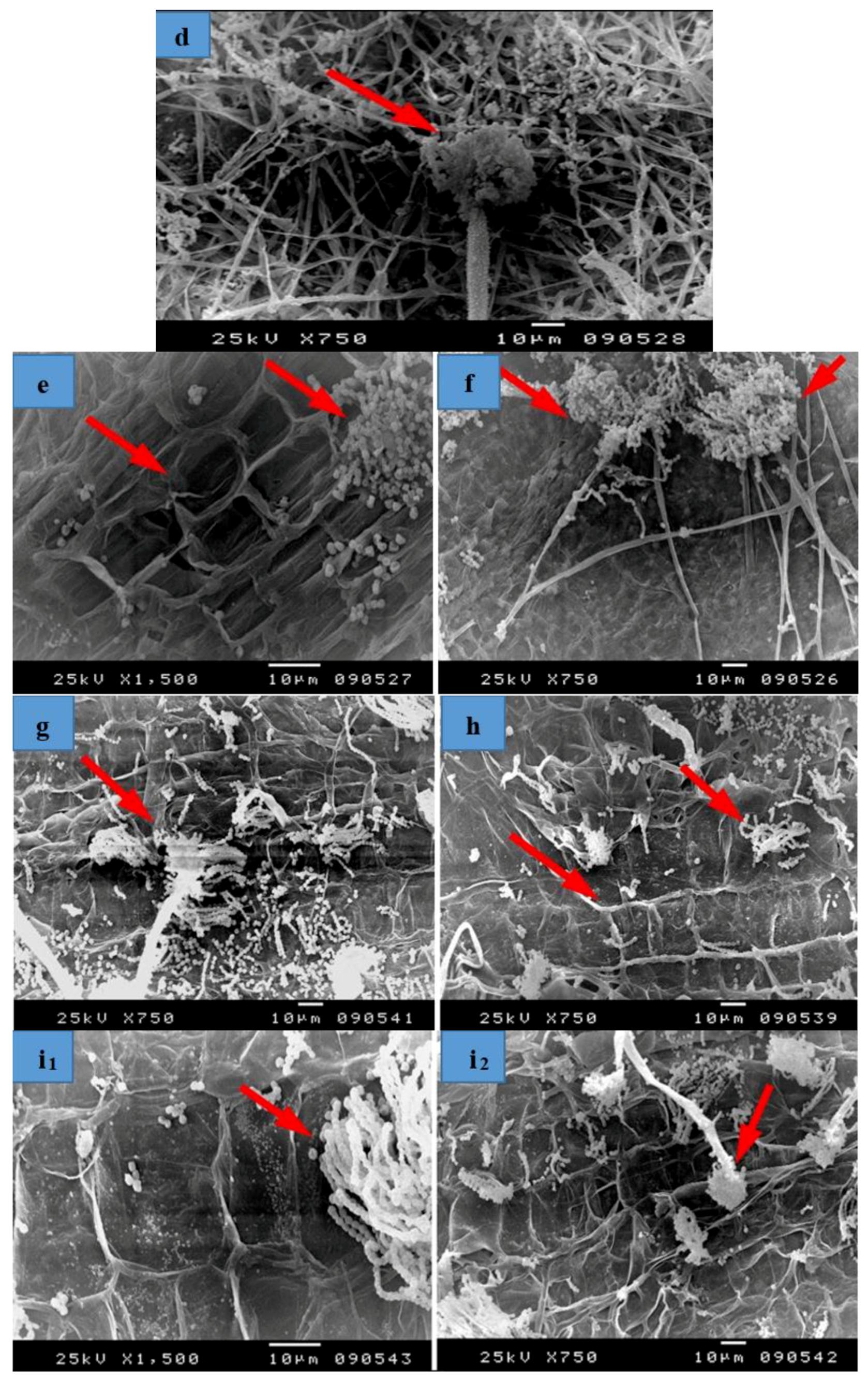 Materials 12 00620 g008b
