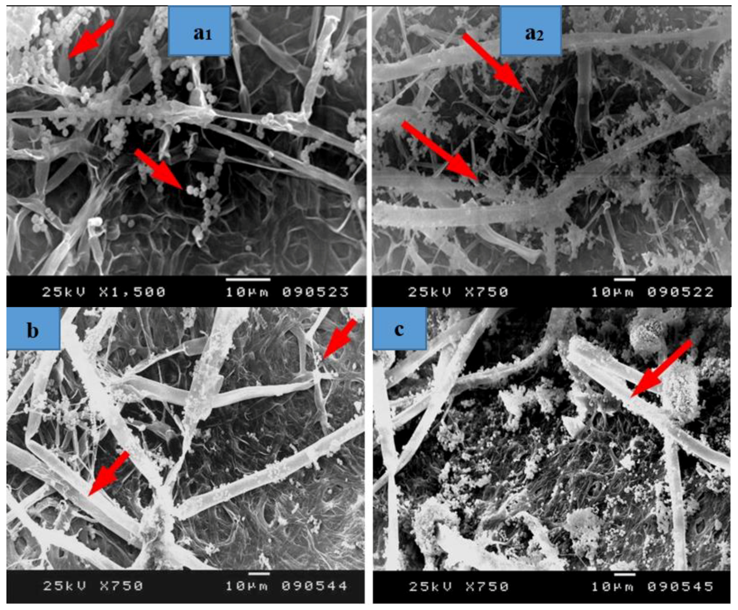 Materials 12 00620 g009a