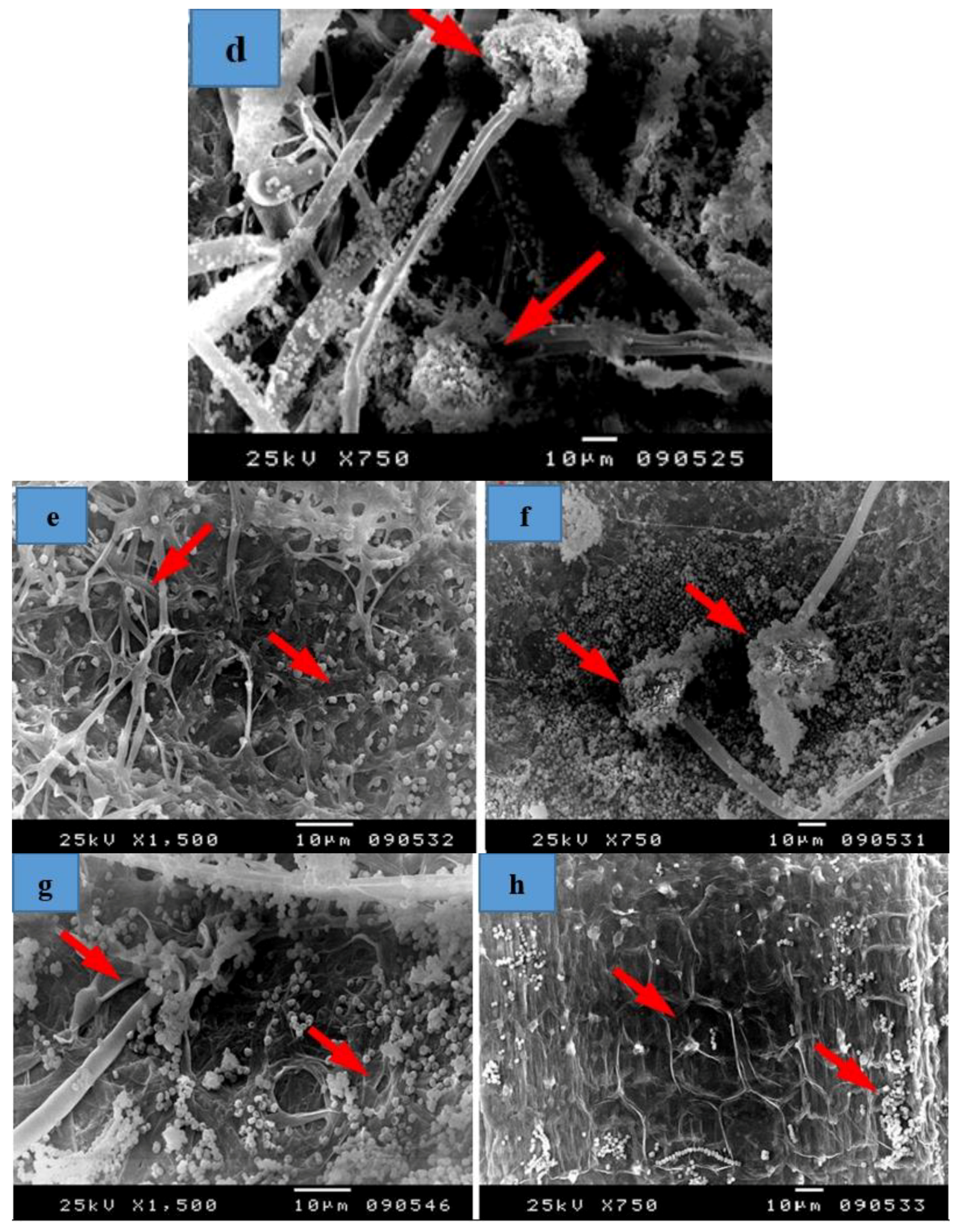 Materials 12 00620 g009b