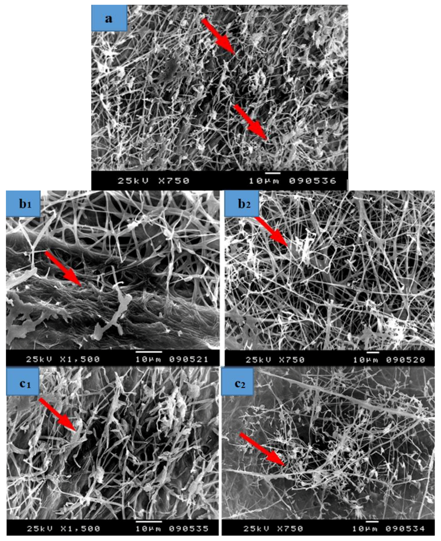 Materials 12 00620 g010a