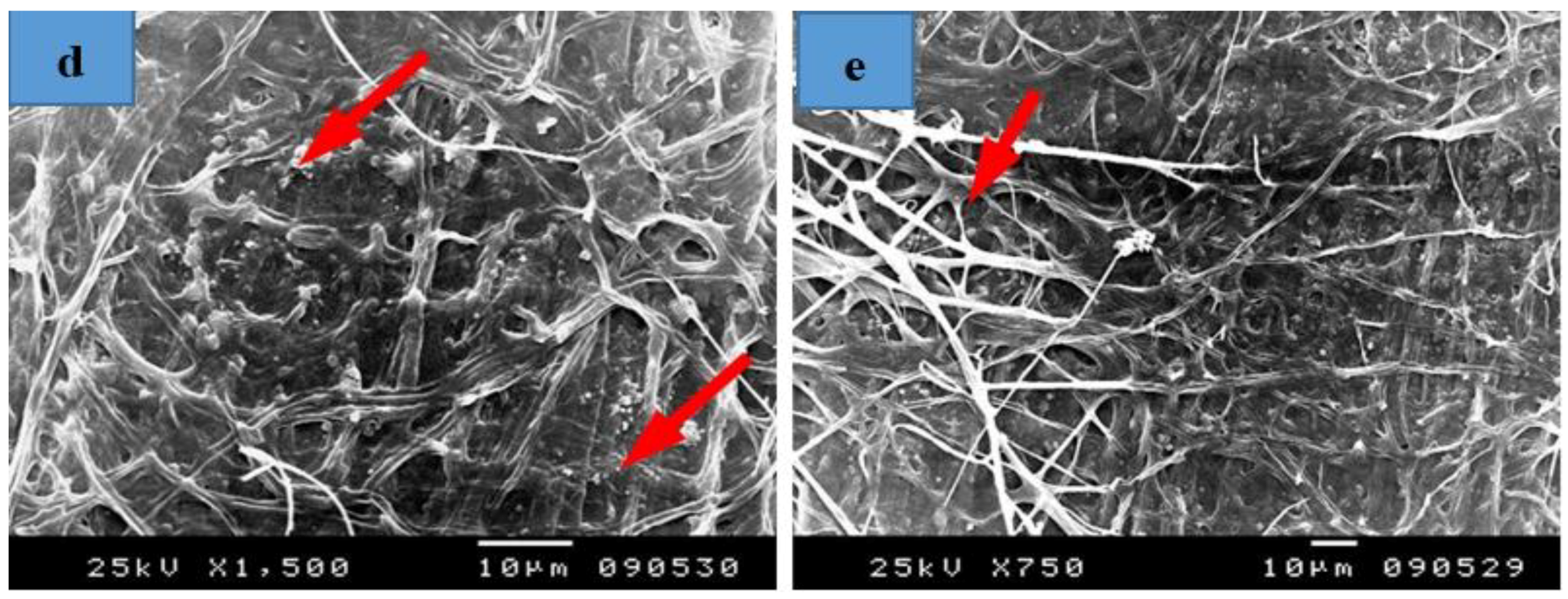 Materials 12 00620 g010b