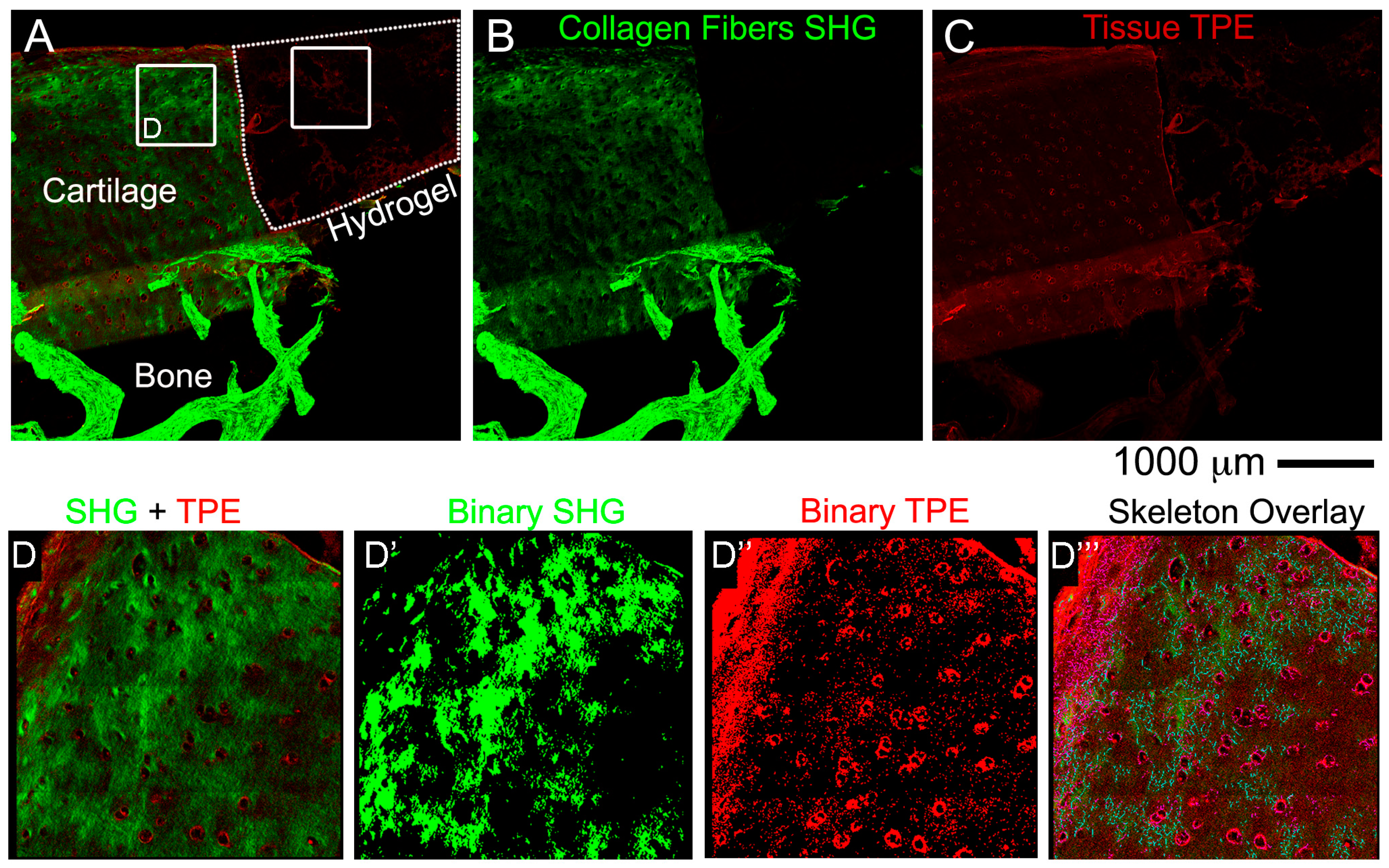 Materials 12 00640 g006
