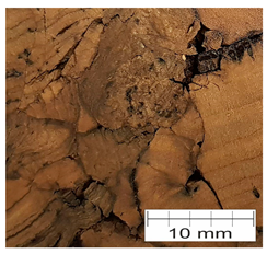 Materials 12 00697 i003 Materials 12 00697 i003