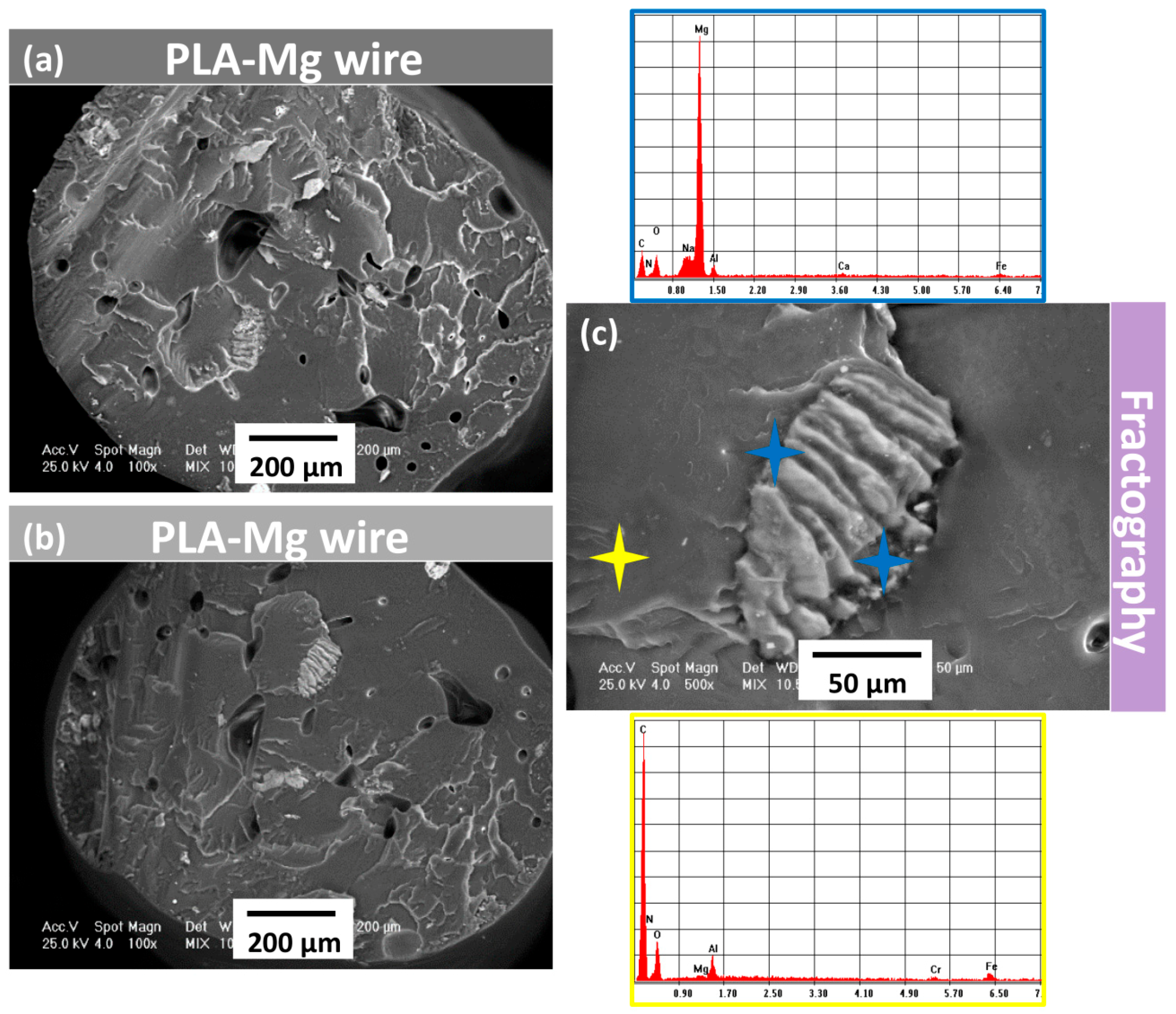 Materials 12 00719 g004