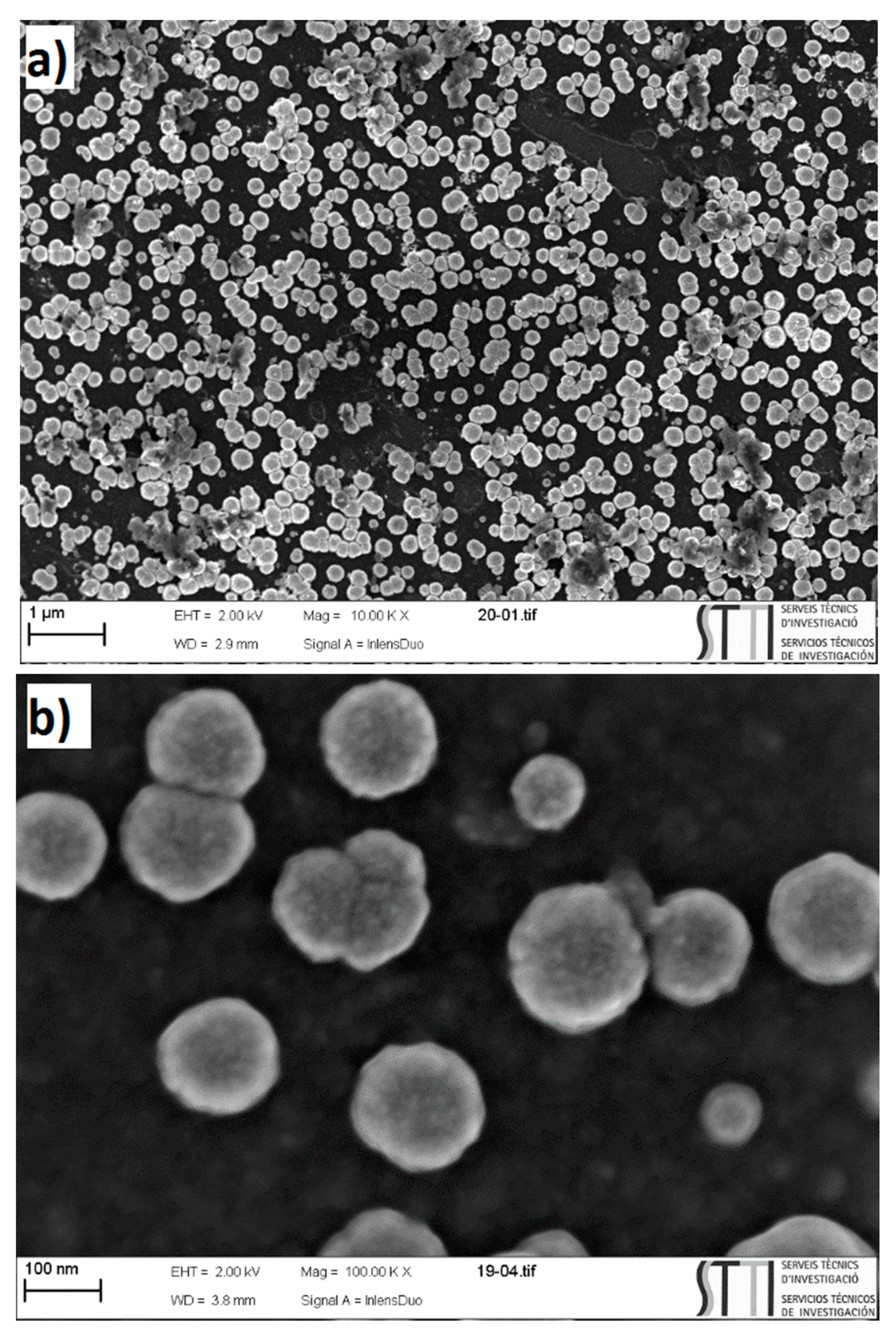 Materials 12 00723 g009 Materials 12 00723 g009