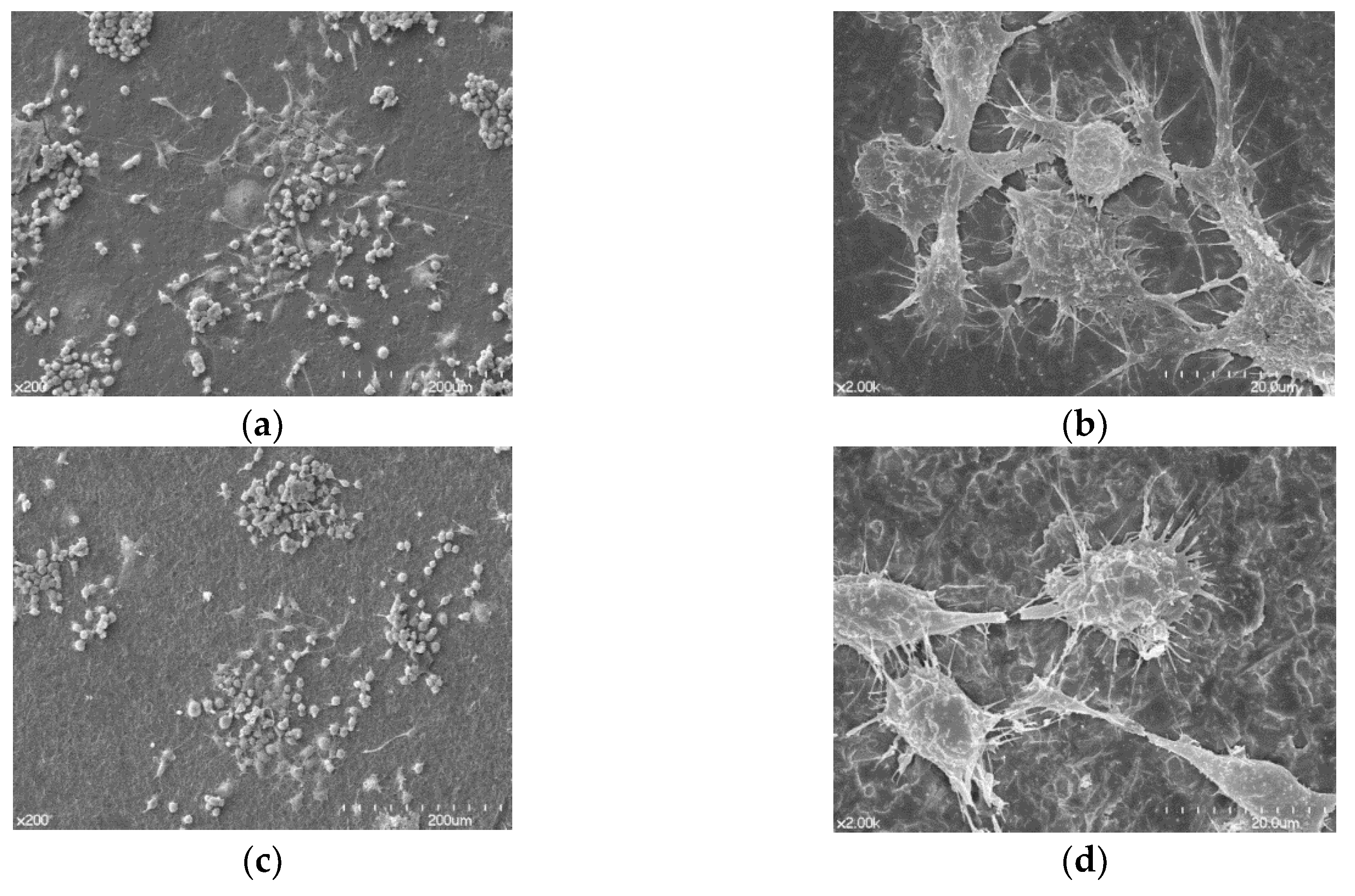 Materials 12 00732 g005