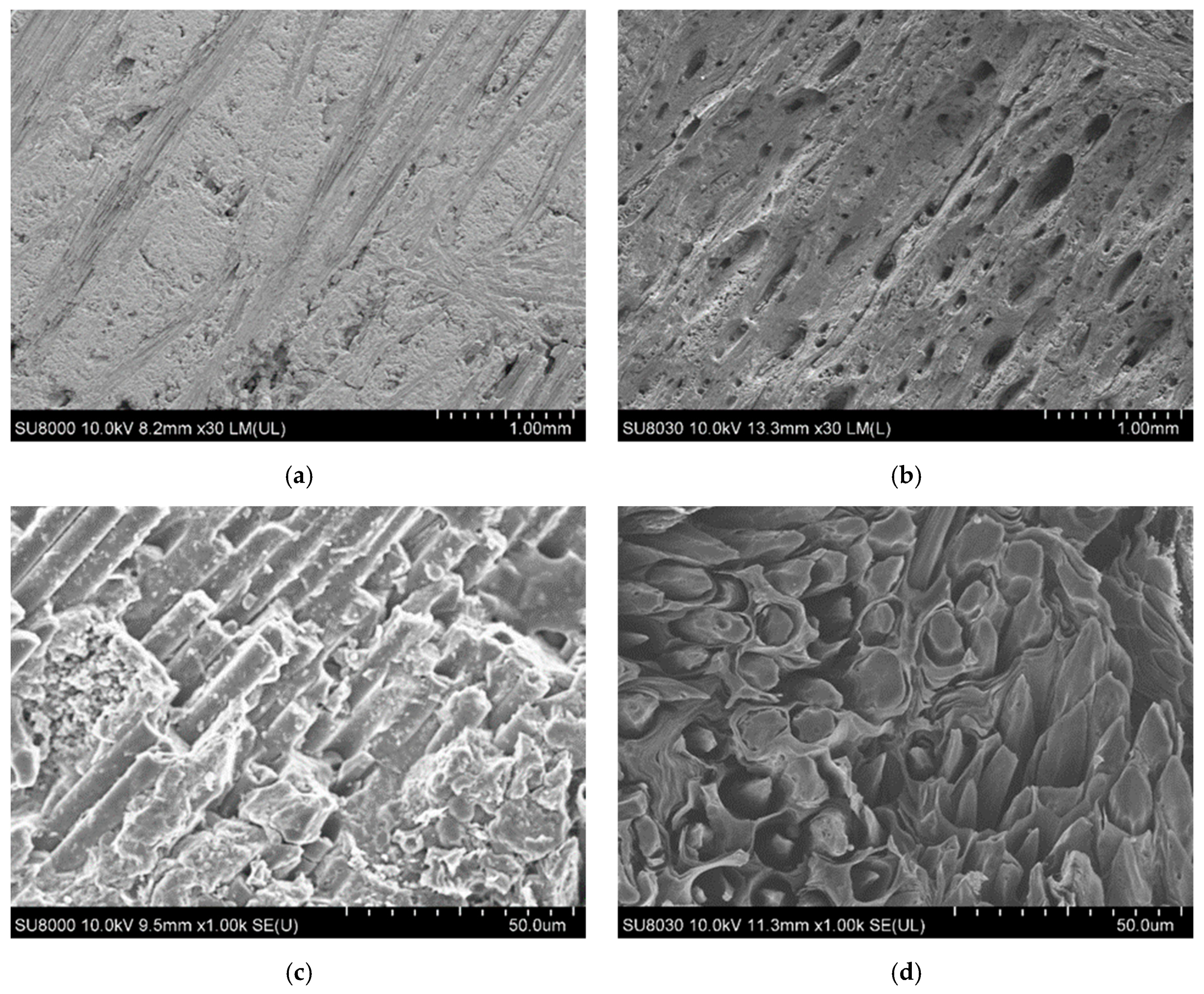 Materials 12 00747 g013 Materials 12 00747 g013