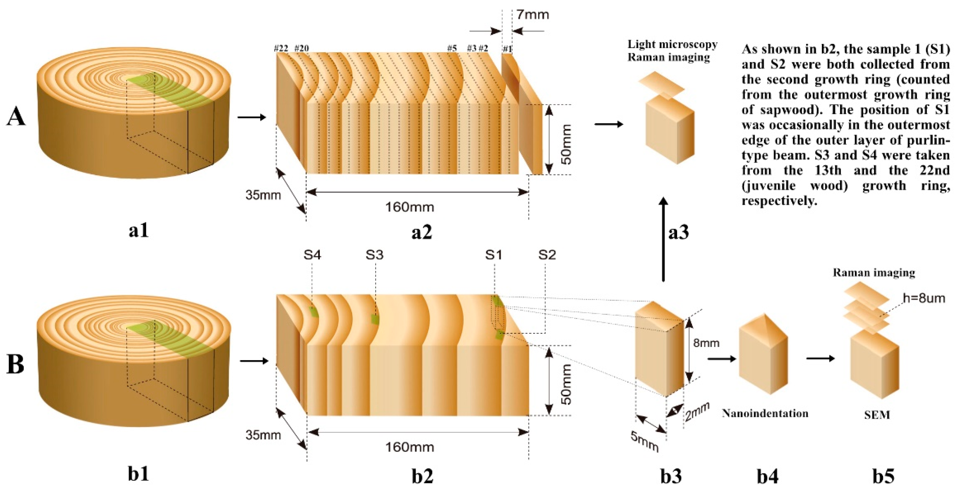 Materials 12 00786 g002