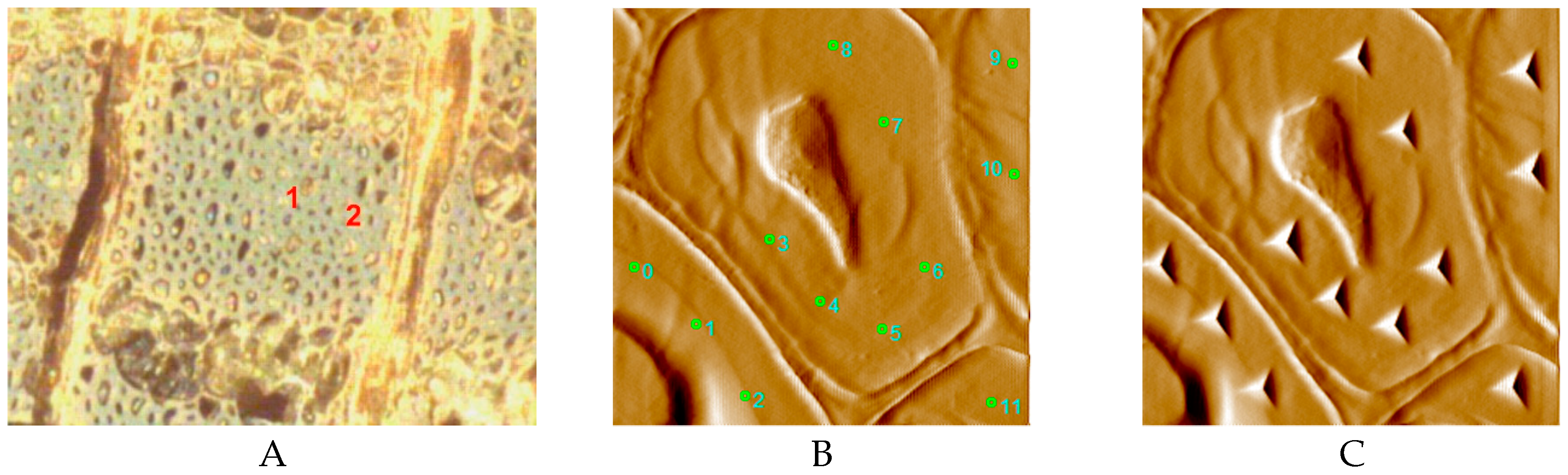 Materials 12 00786 g003