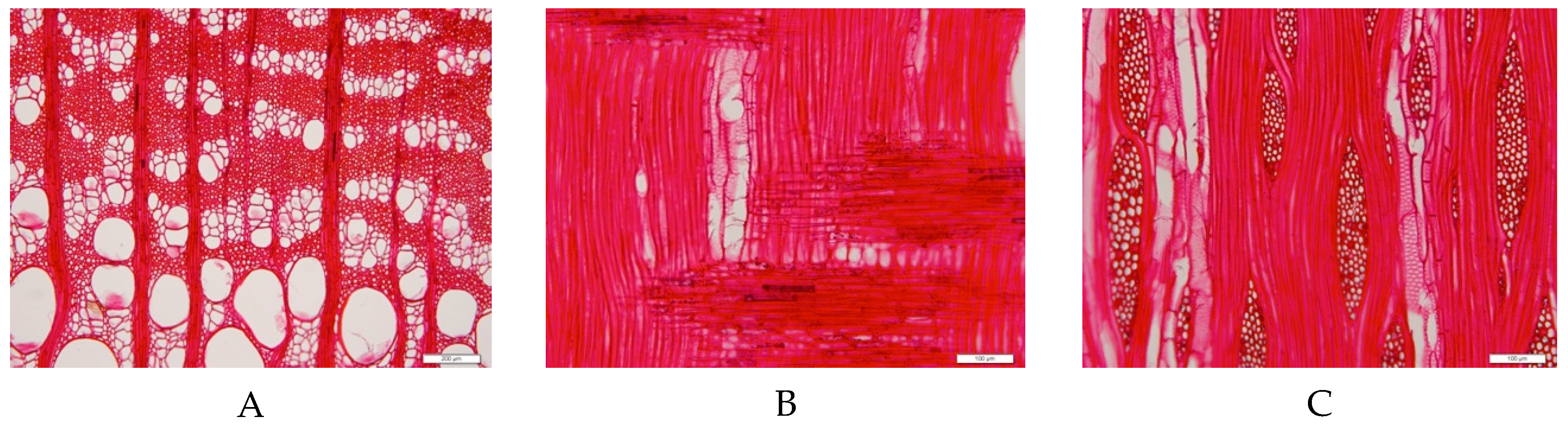 Materials 12 00786 g004