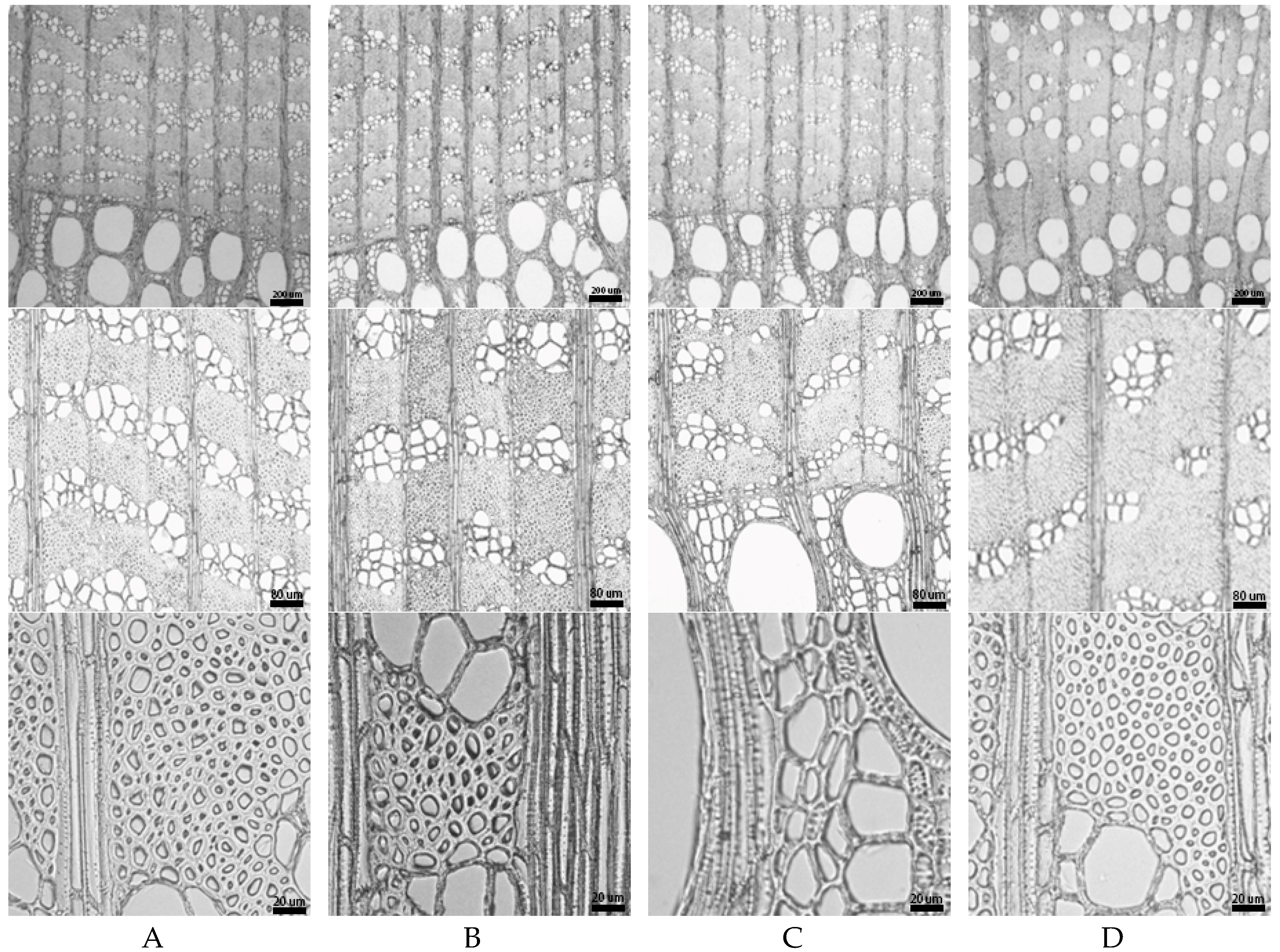 Materials 12 00786 g005