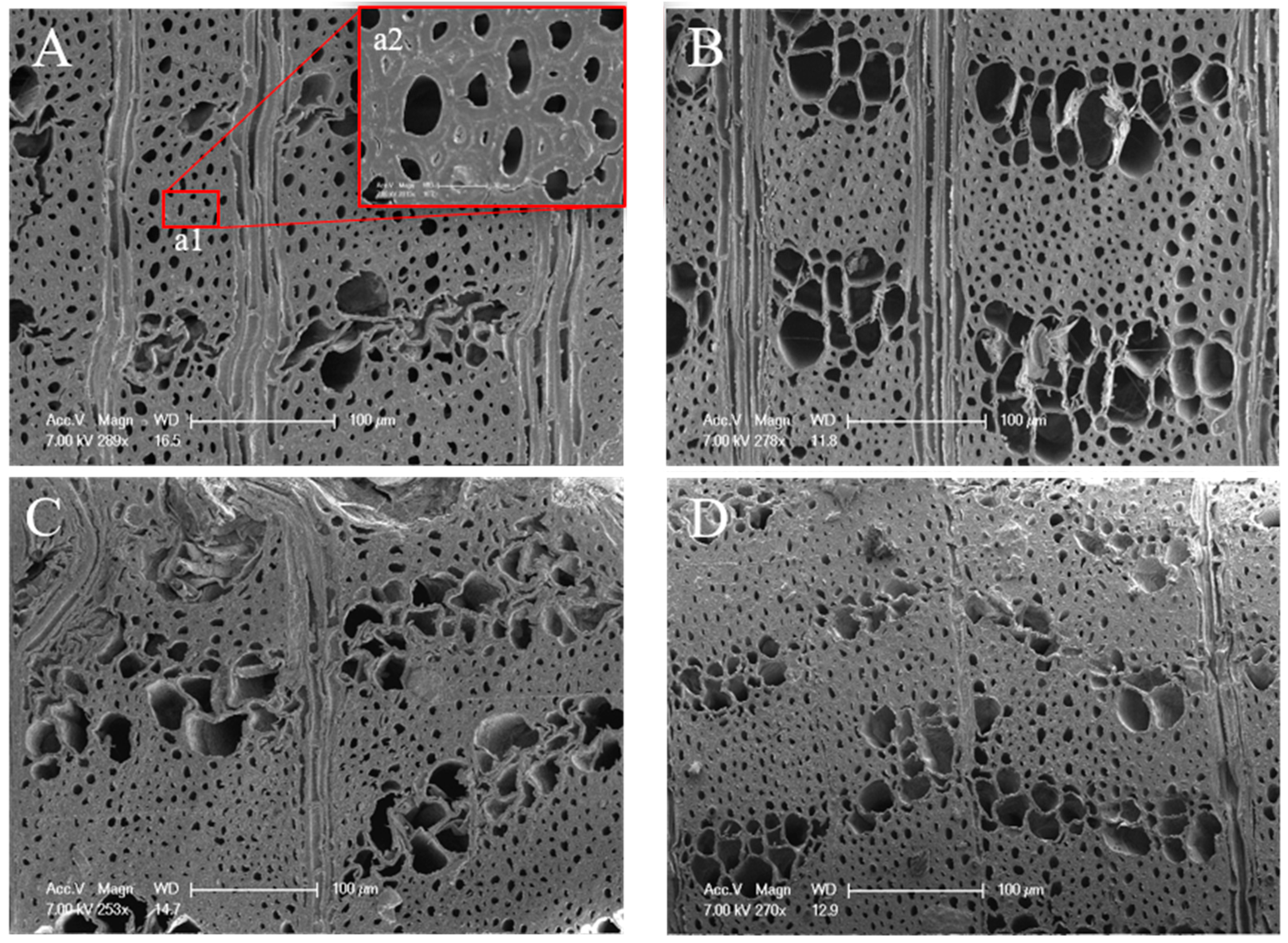 Materials 12 00786 g006