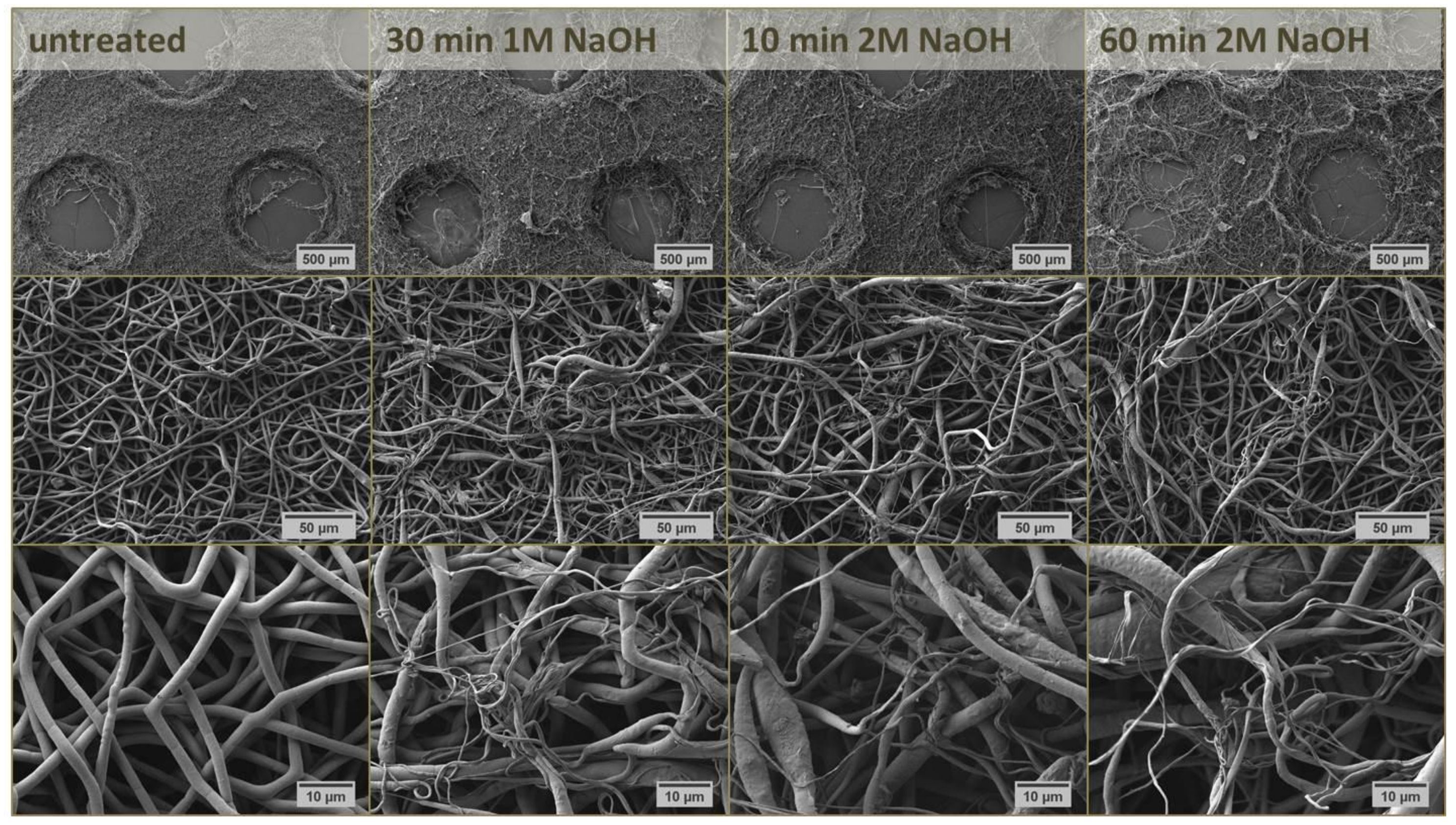 Materials 12 00834 g005