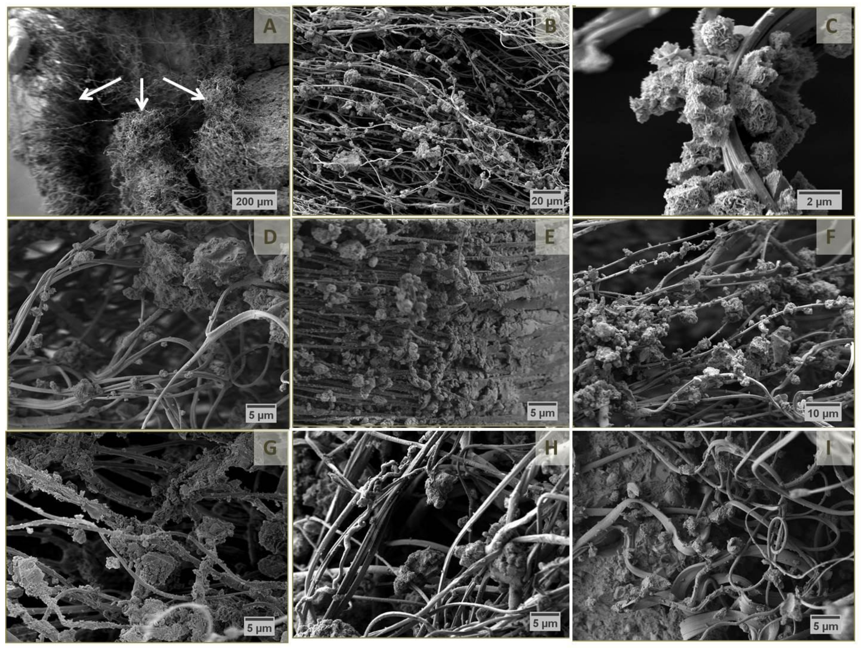 Materials 12 00834 g007