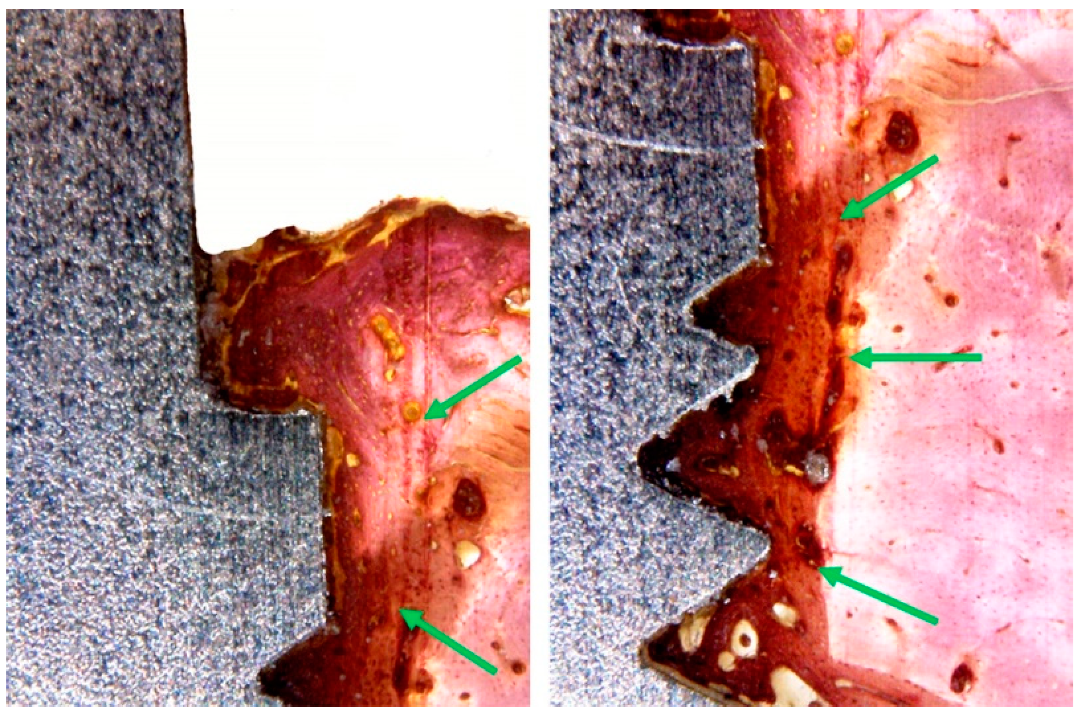 Materials 12 00856 g008