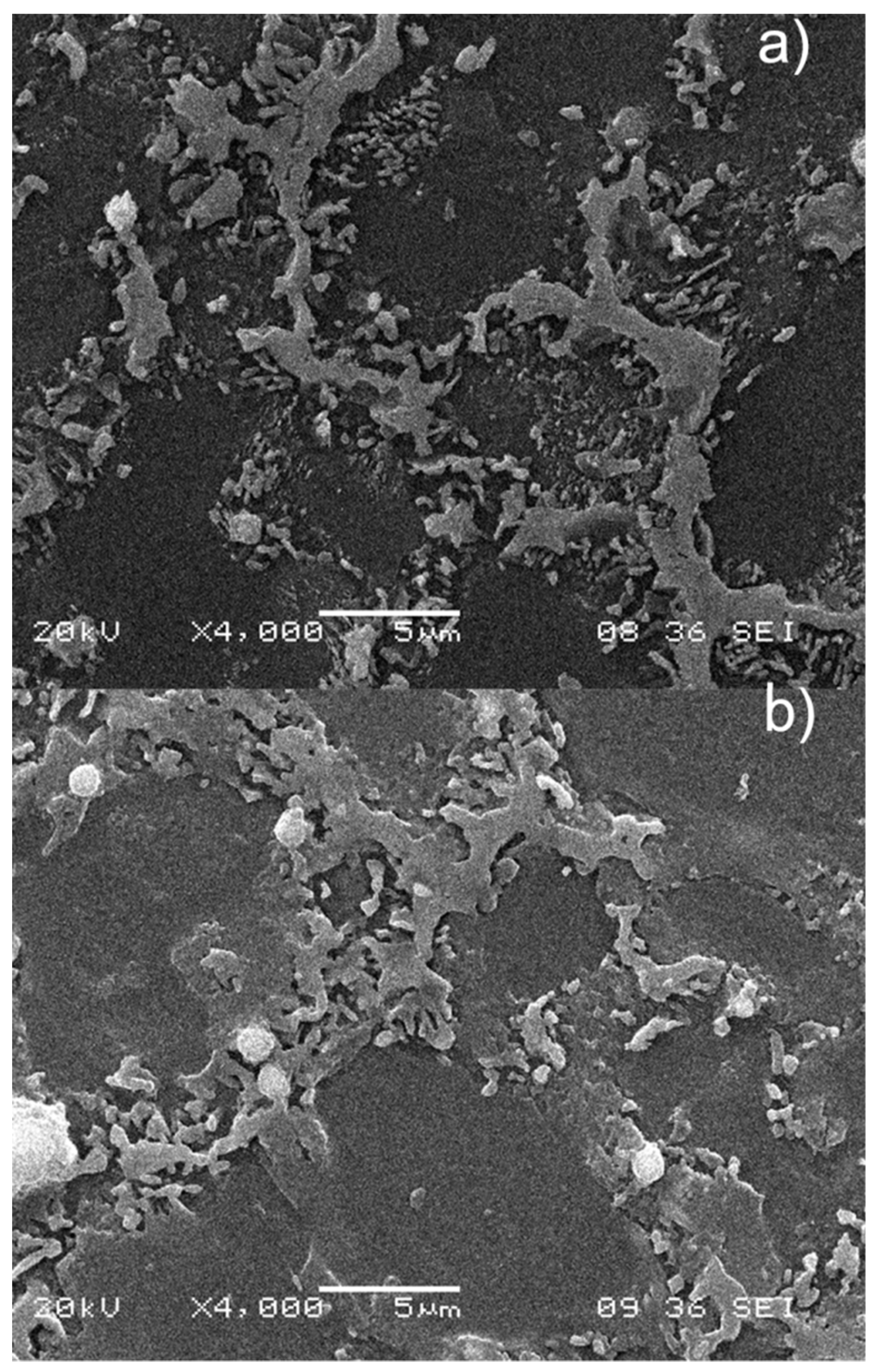 Materials 12 00872 g007