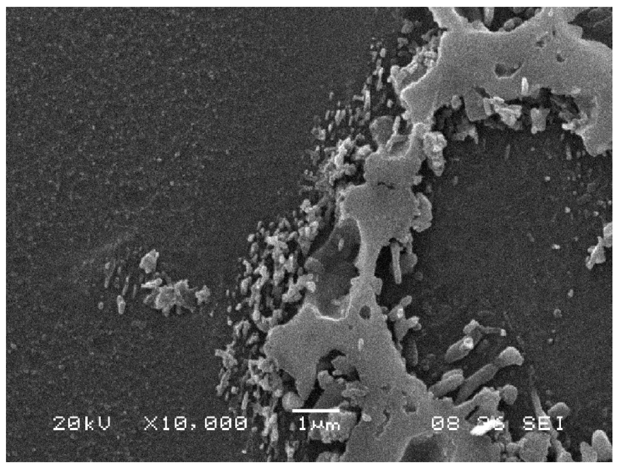 Materials 12 00872 g008