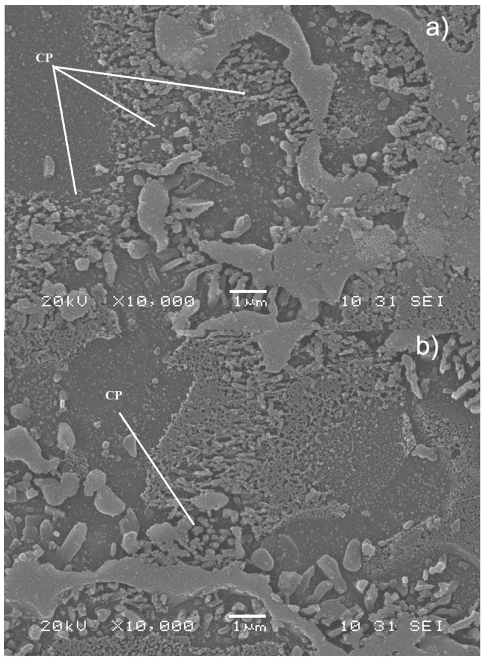 Materials 12 00872 g009