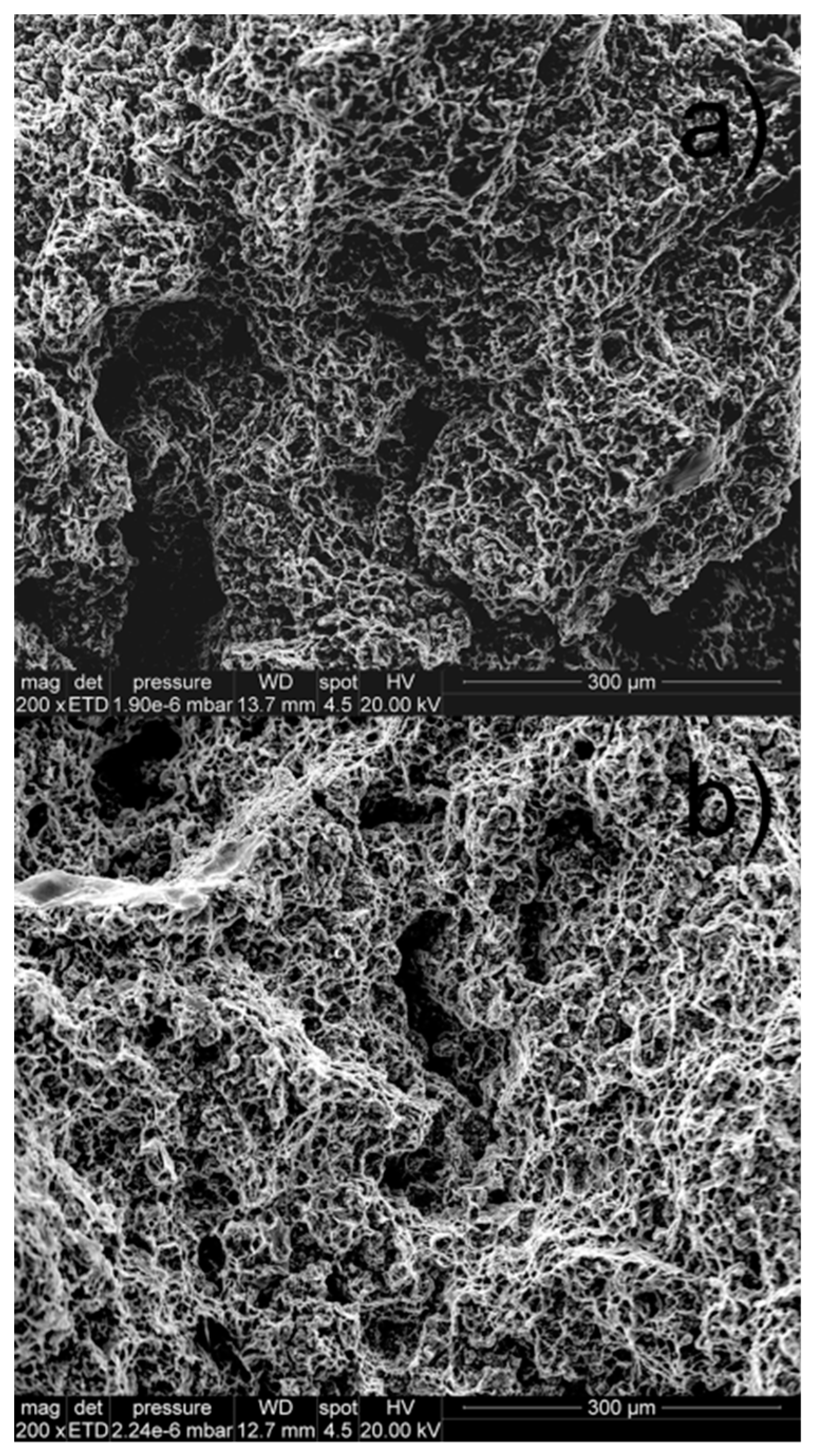 Materials 12 00872 g010