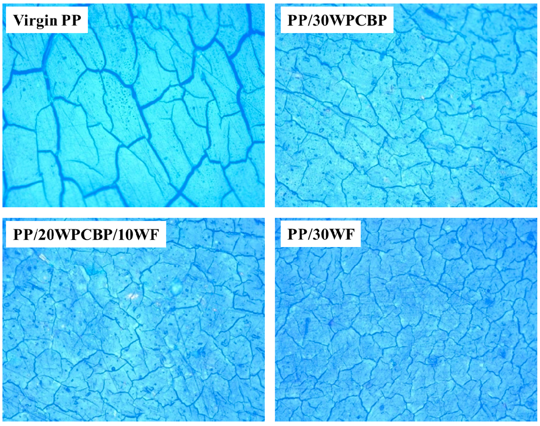 Materials 12 00876 g006