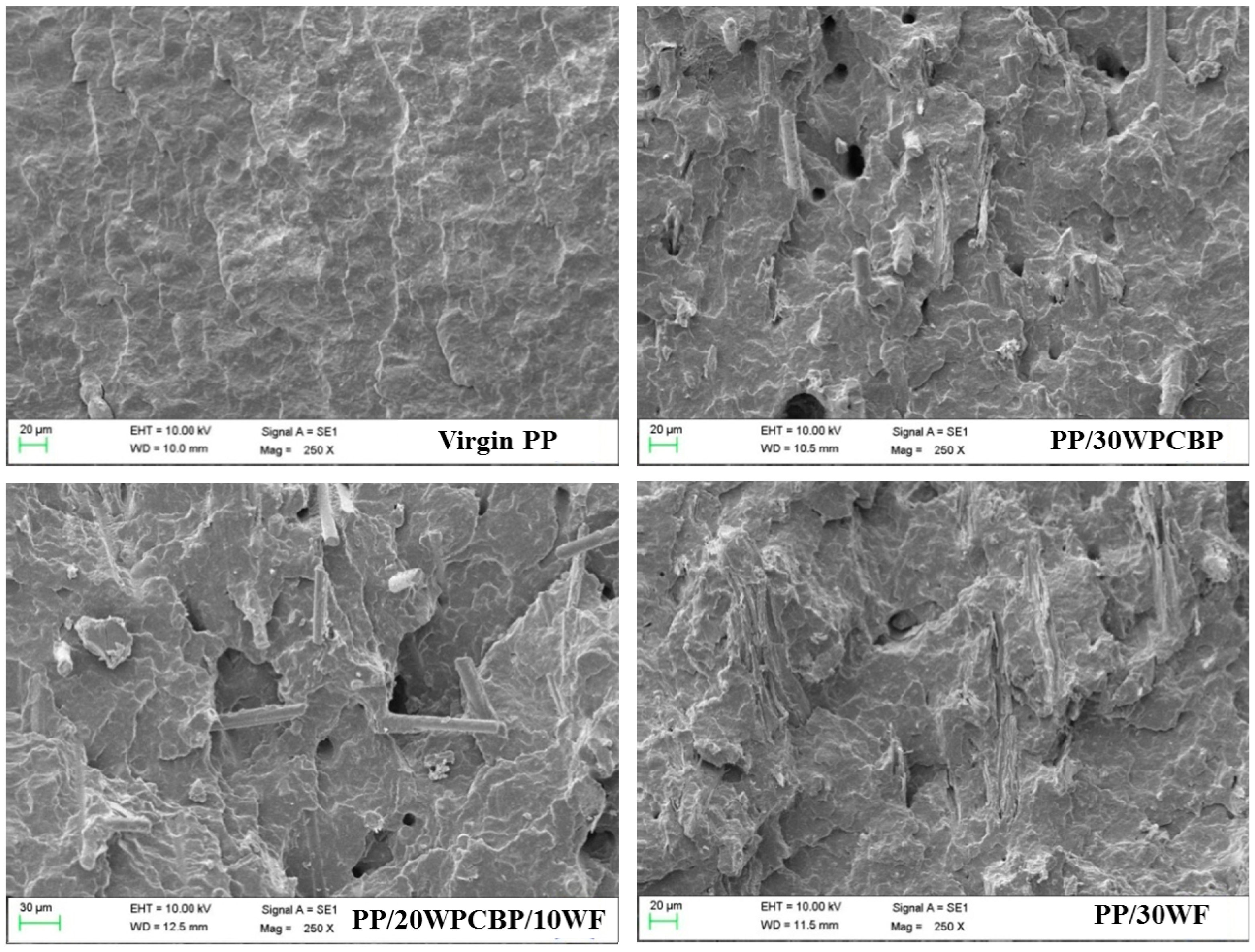 Materials 12 00876 g008