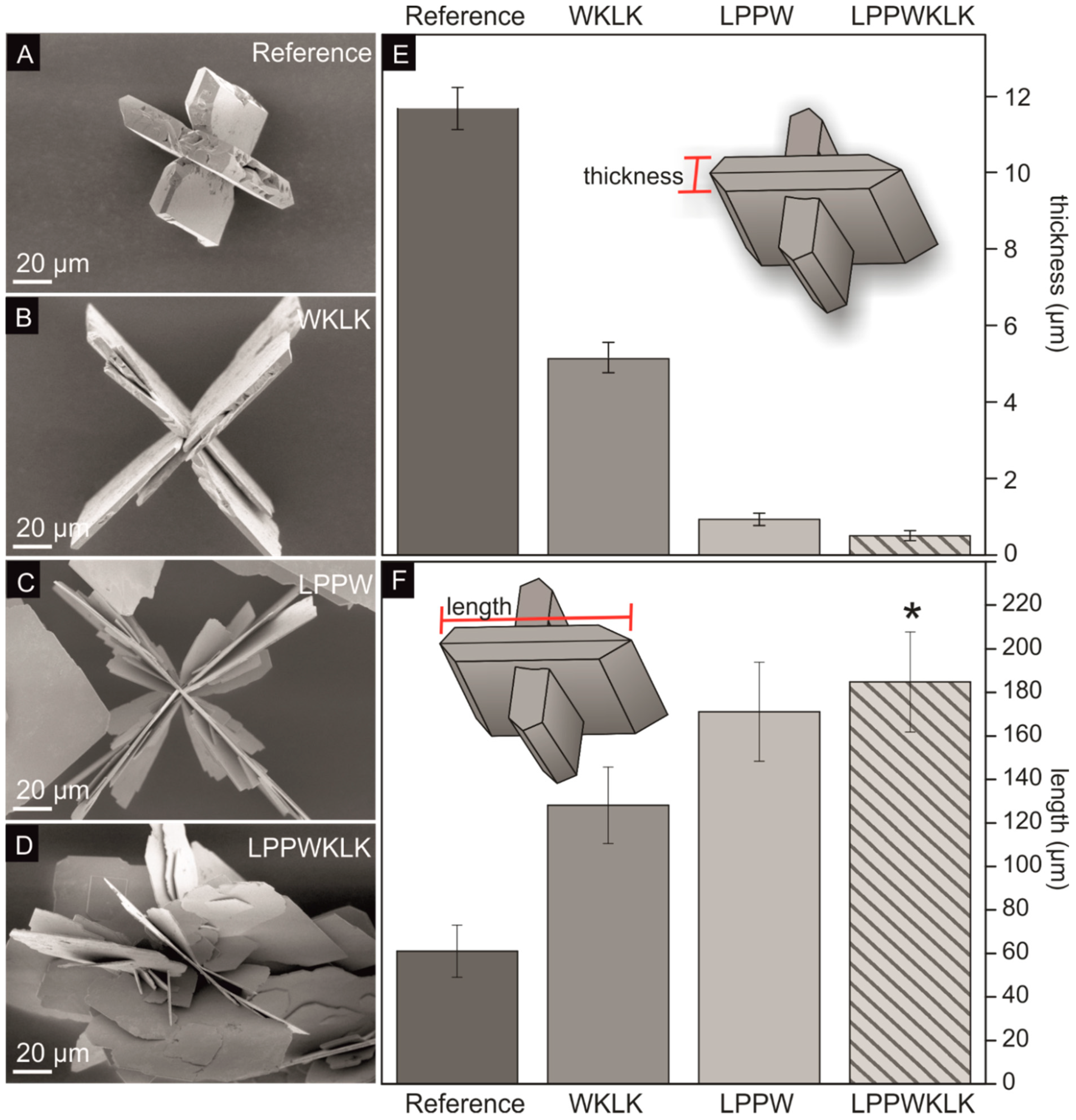 Materials 12 00904 g002