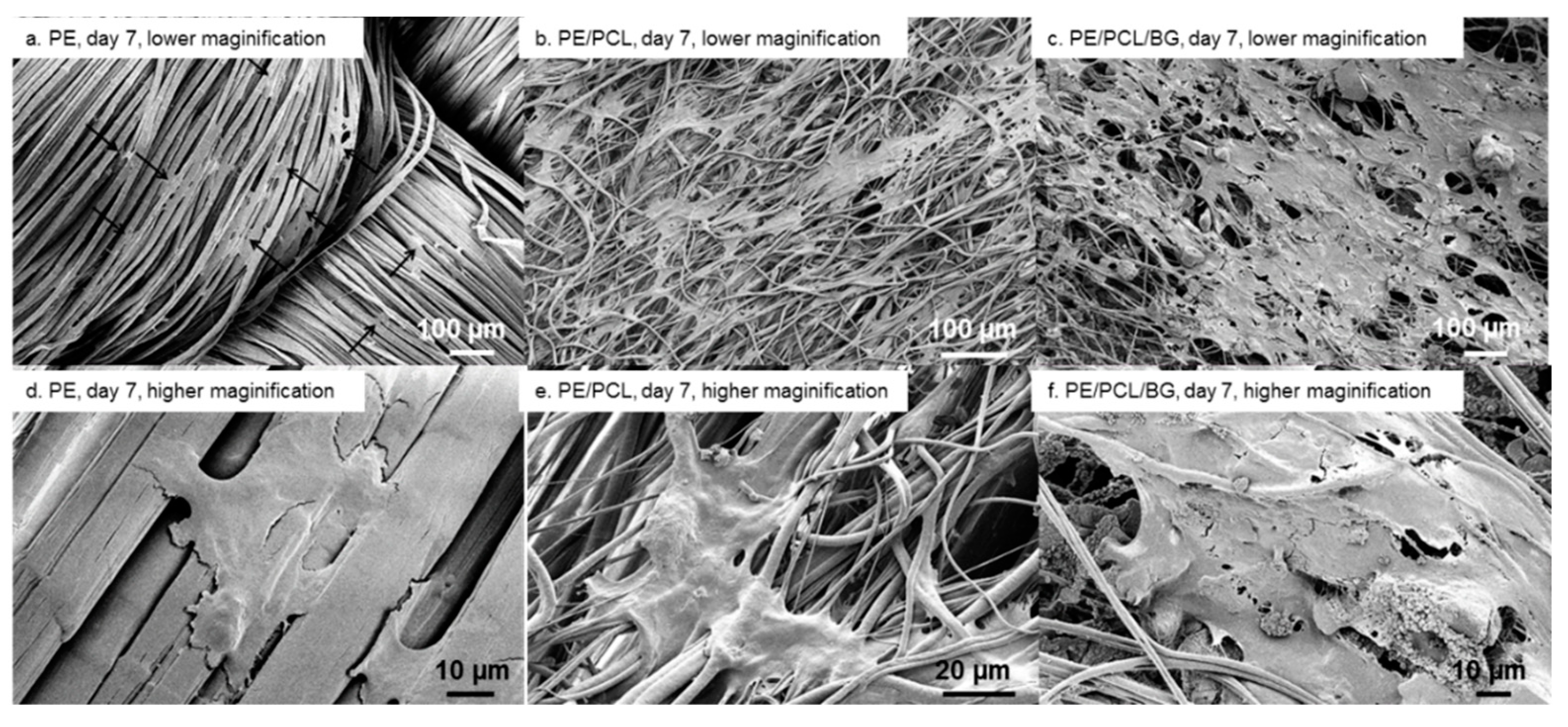 Materials 12 00916 g006 Materials 12 00916 g006
