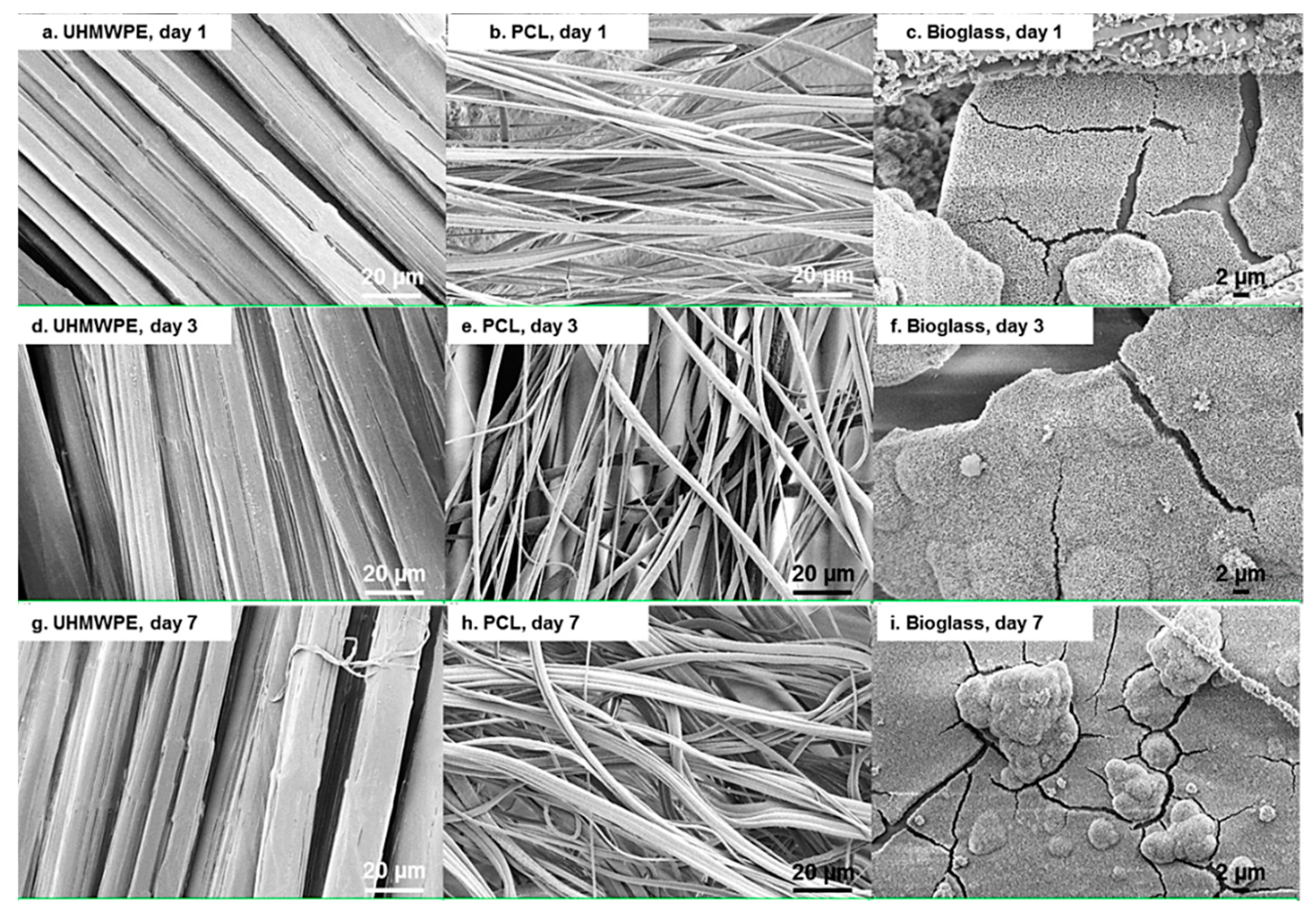 Materials 12 00916 g007 Materials 12 00916 g007