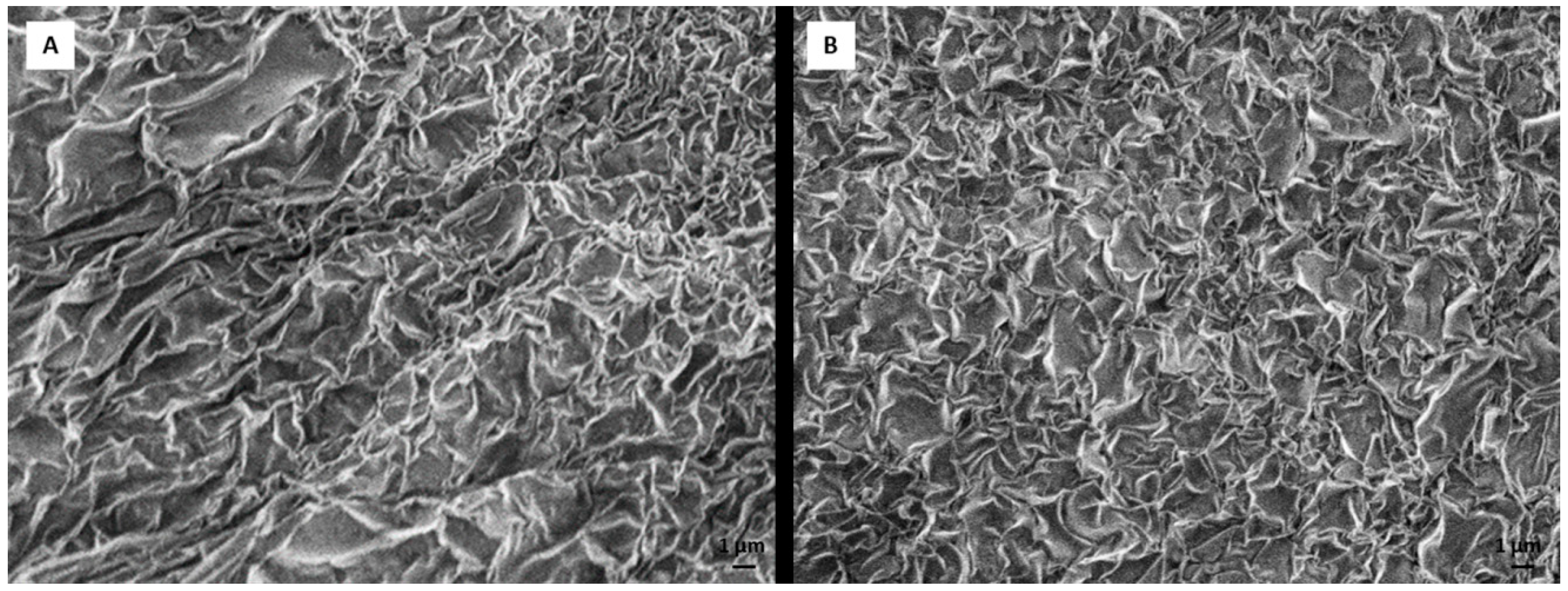 Materials 12 00919 g001