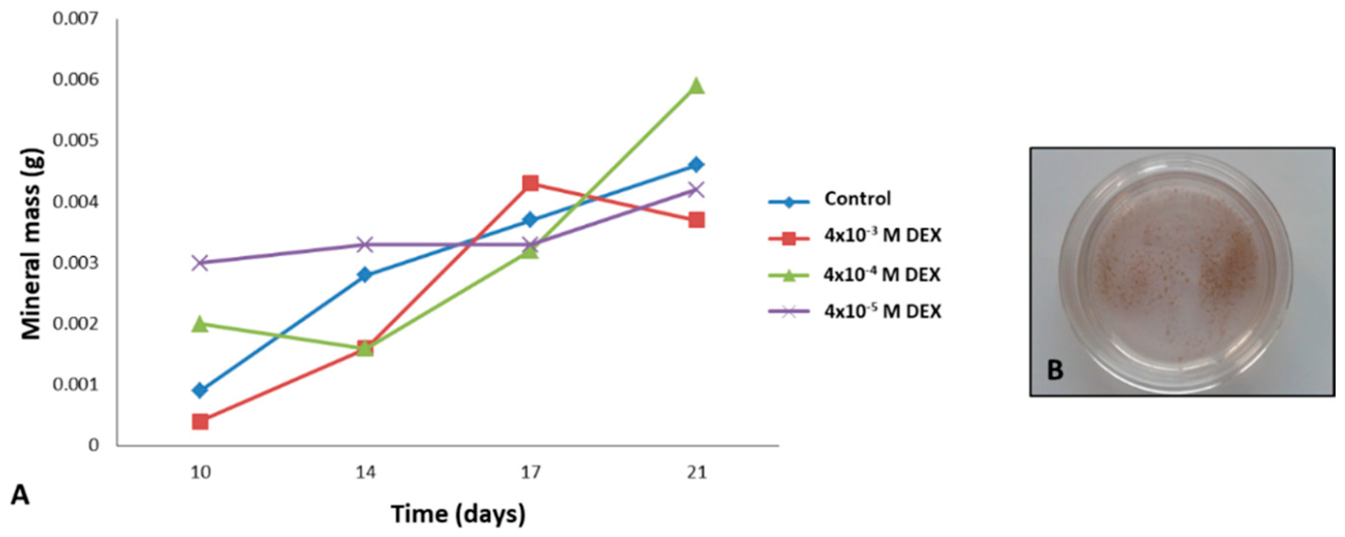 Materials 12 00919 g005