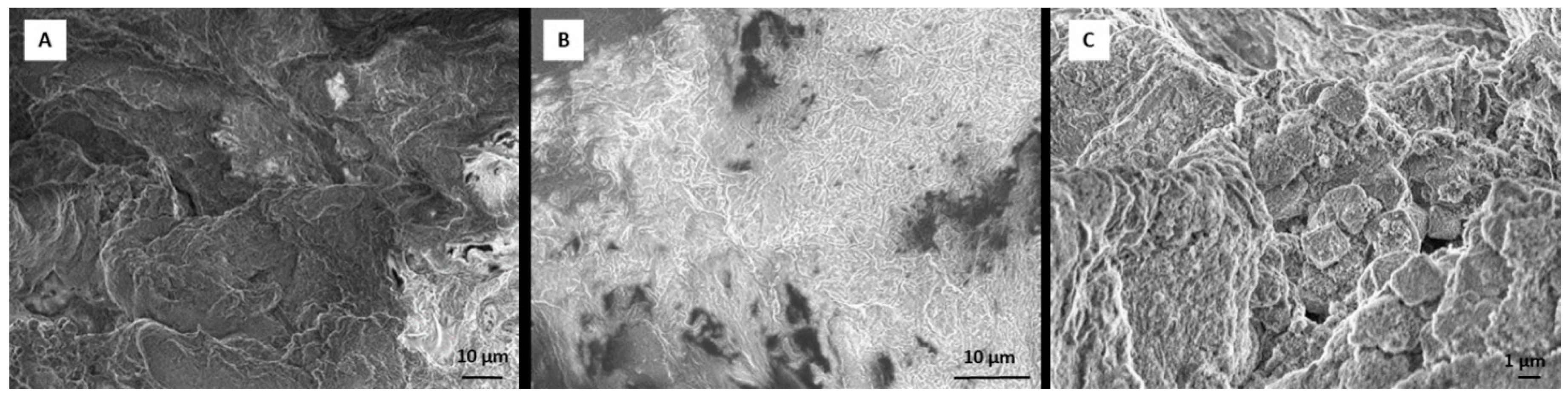 Materials 12 00919 g006