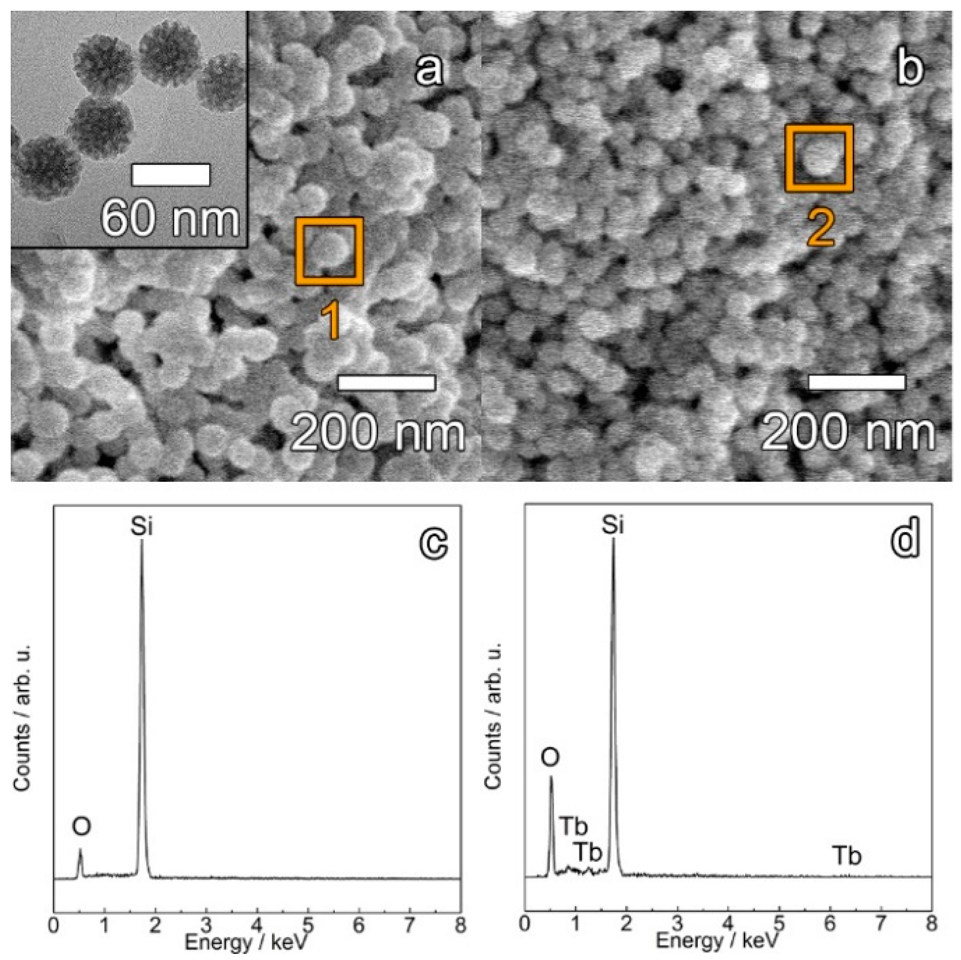 Materials 12 00933 g001