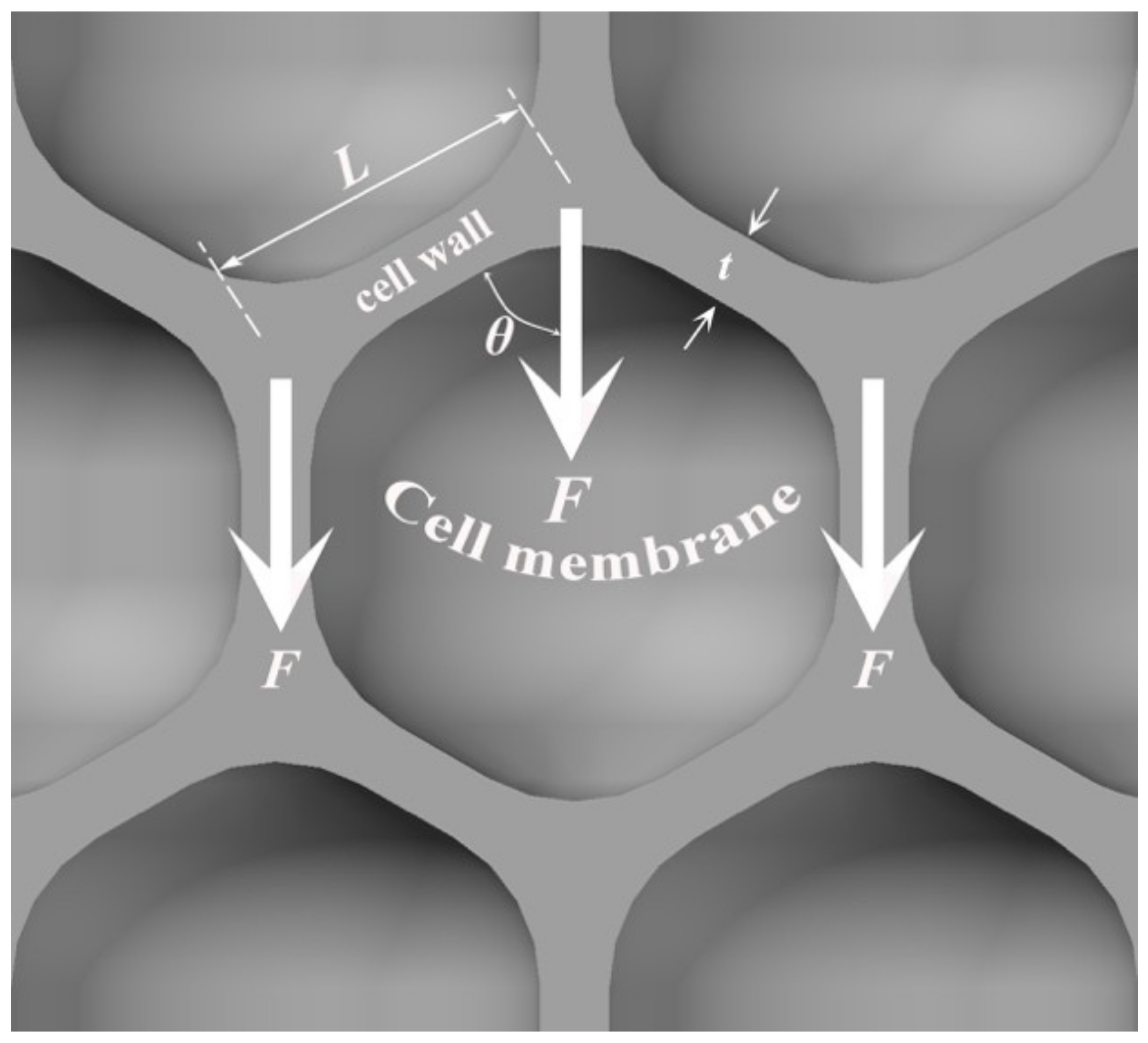 Materials 12 00951 g008