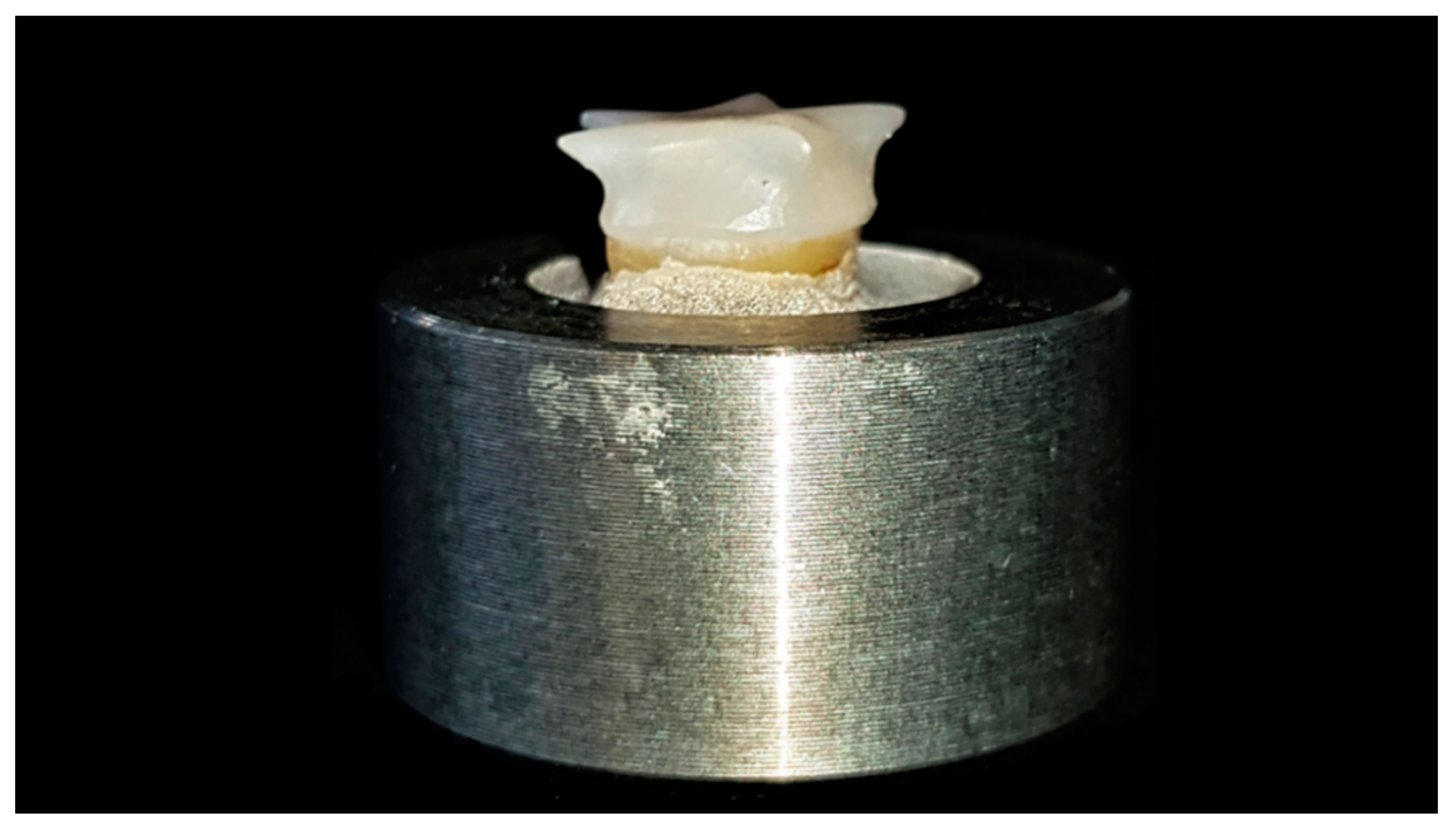 Materials 12 00979 g007